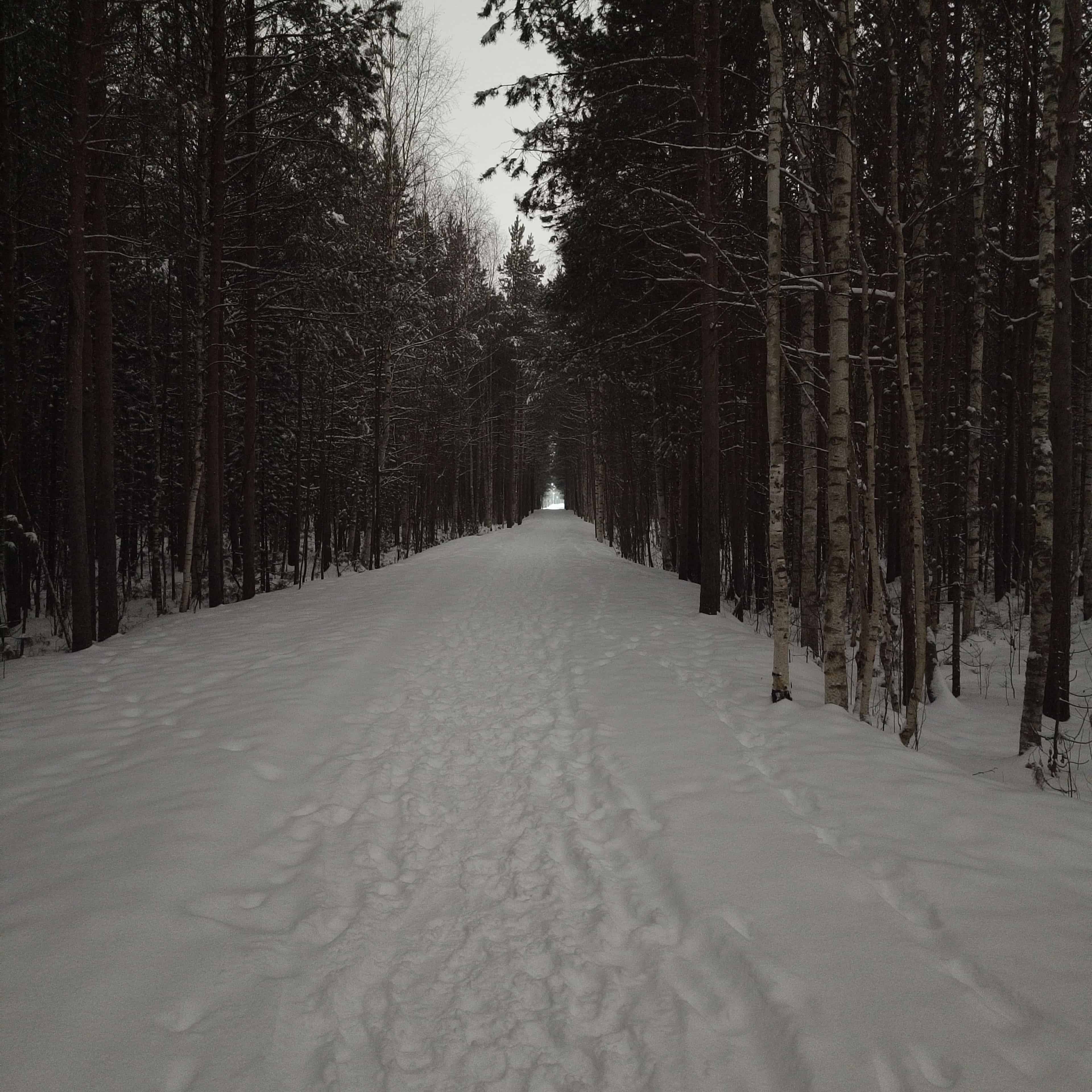 snowy-park-10.jpg