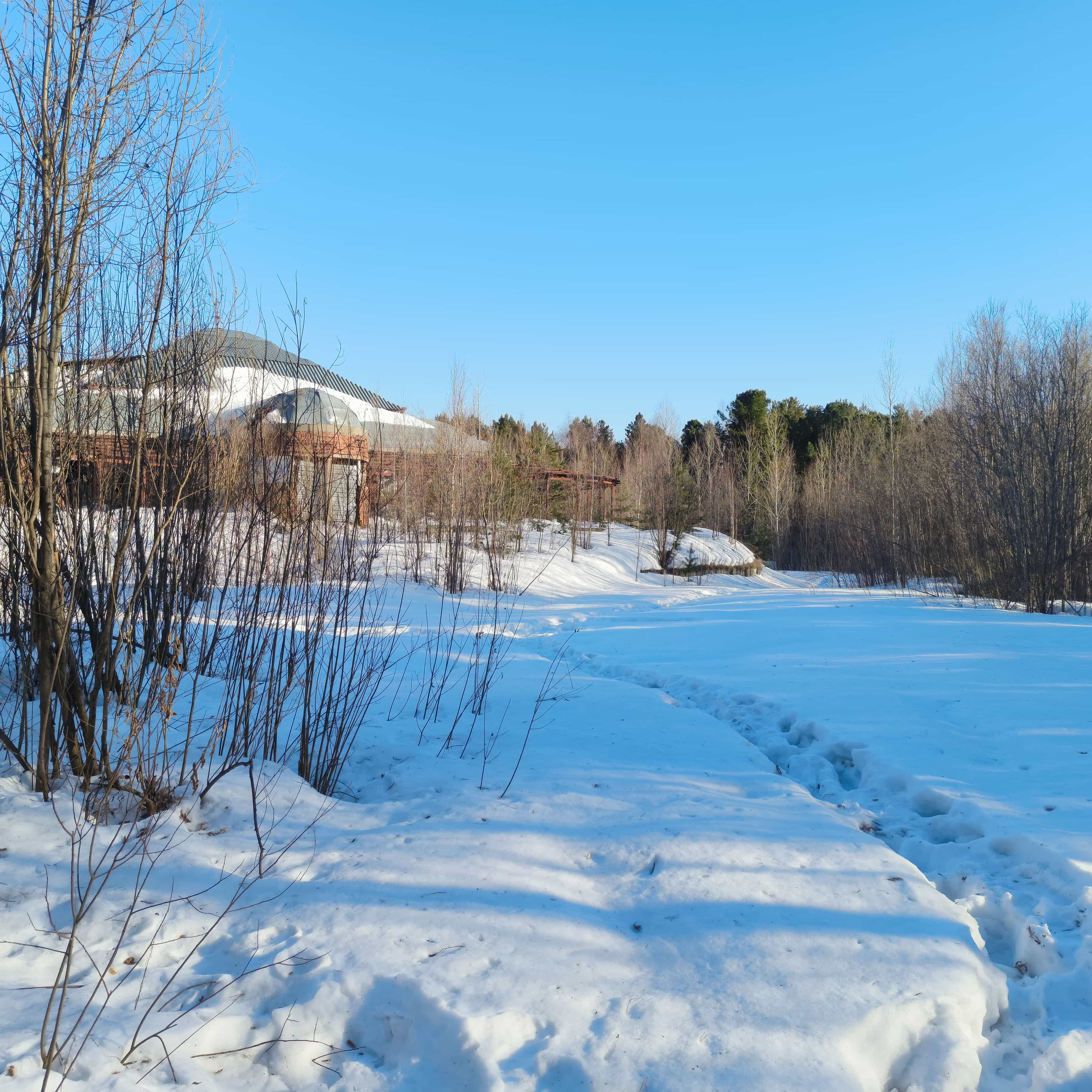 Photo from Surgut: abandoned trail.