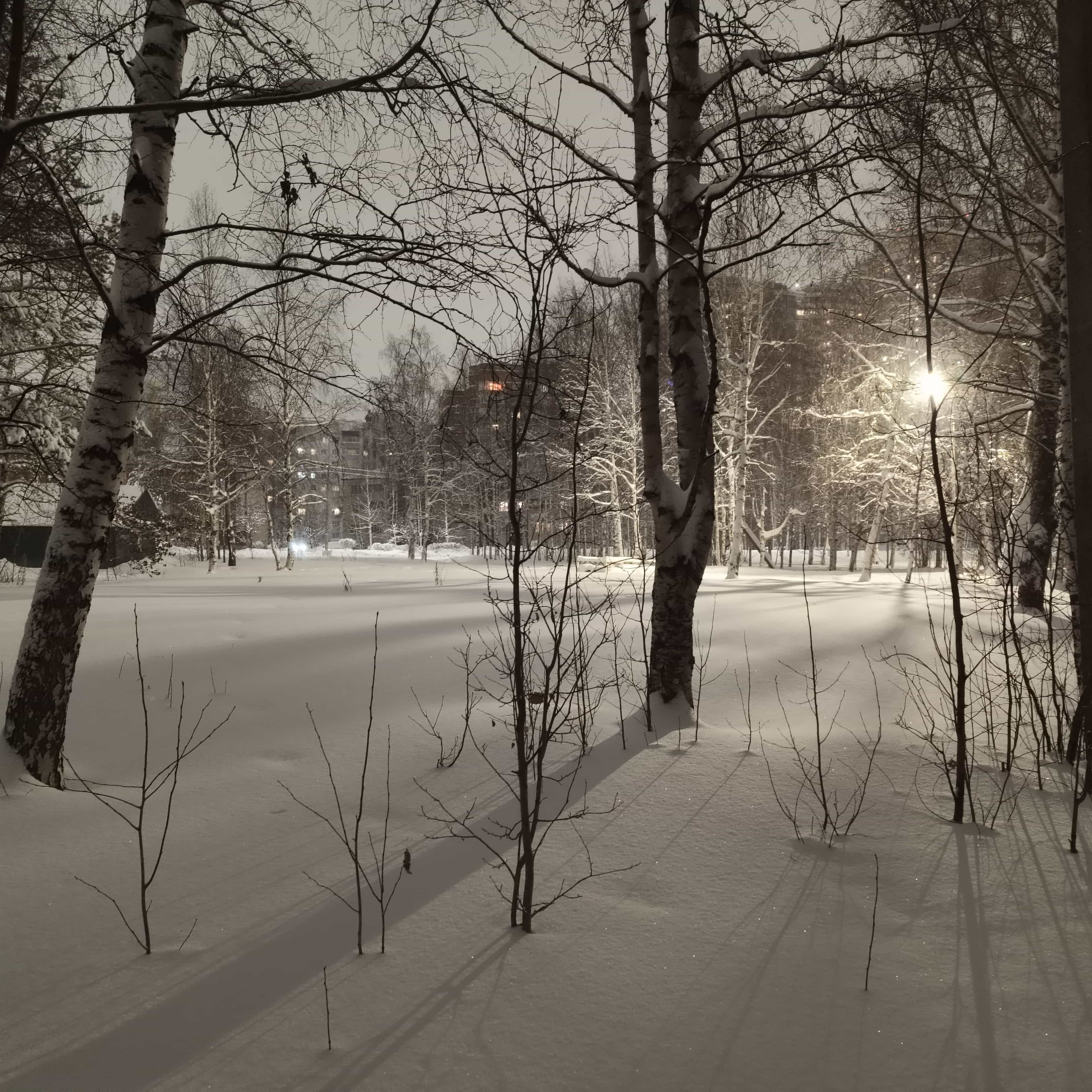 Photo from Surgut: city 1.