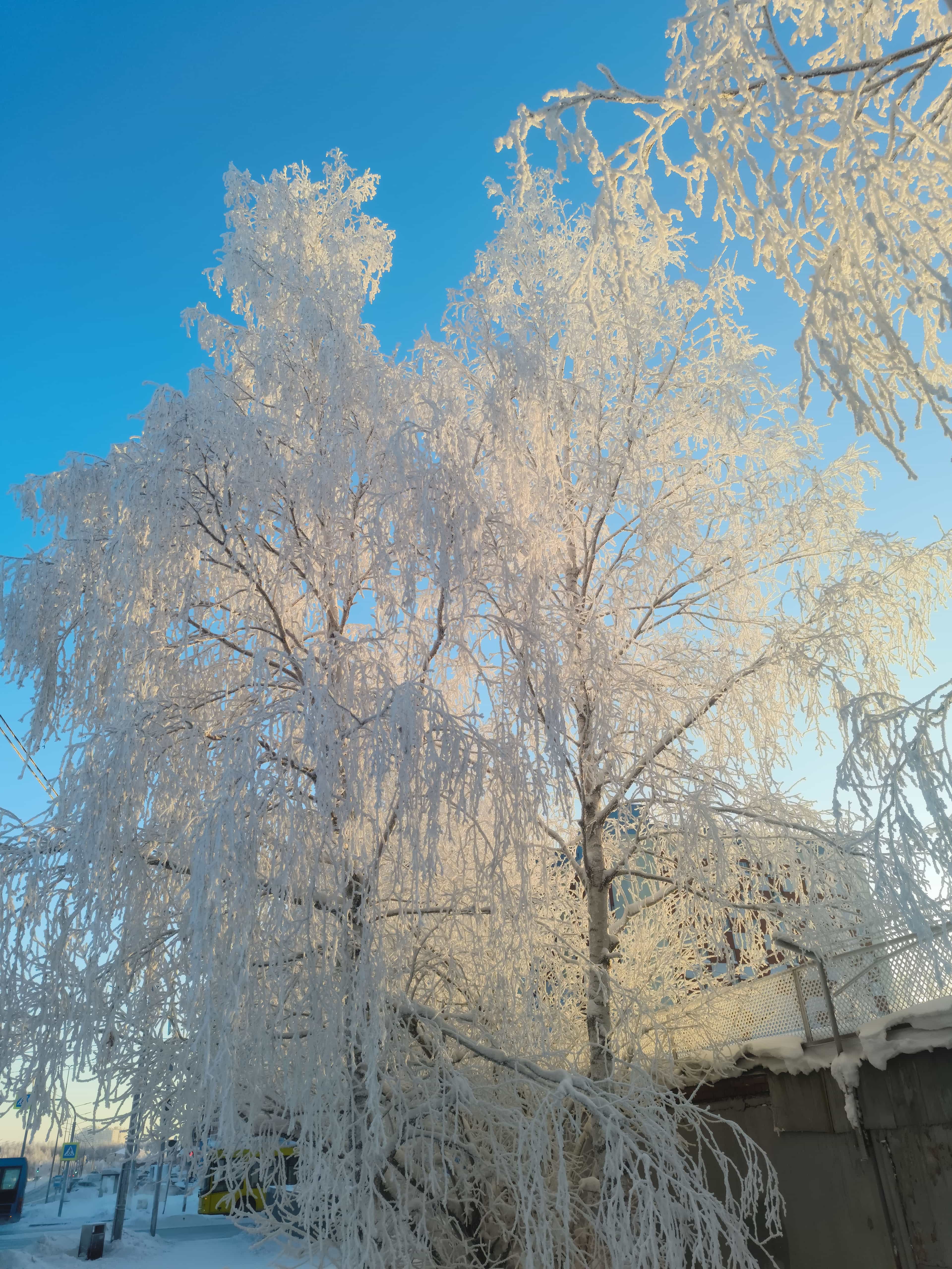 Photo from Surgut: city 4.