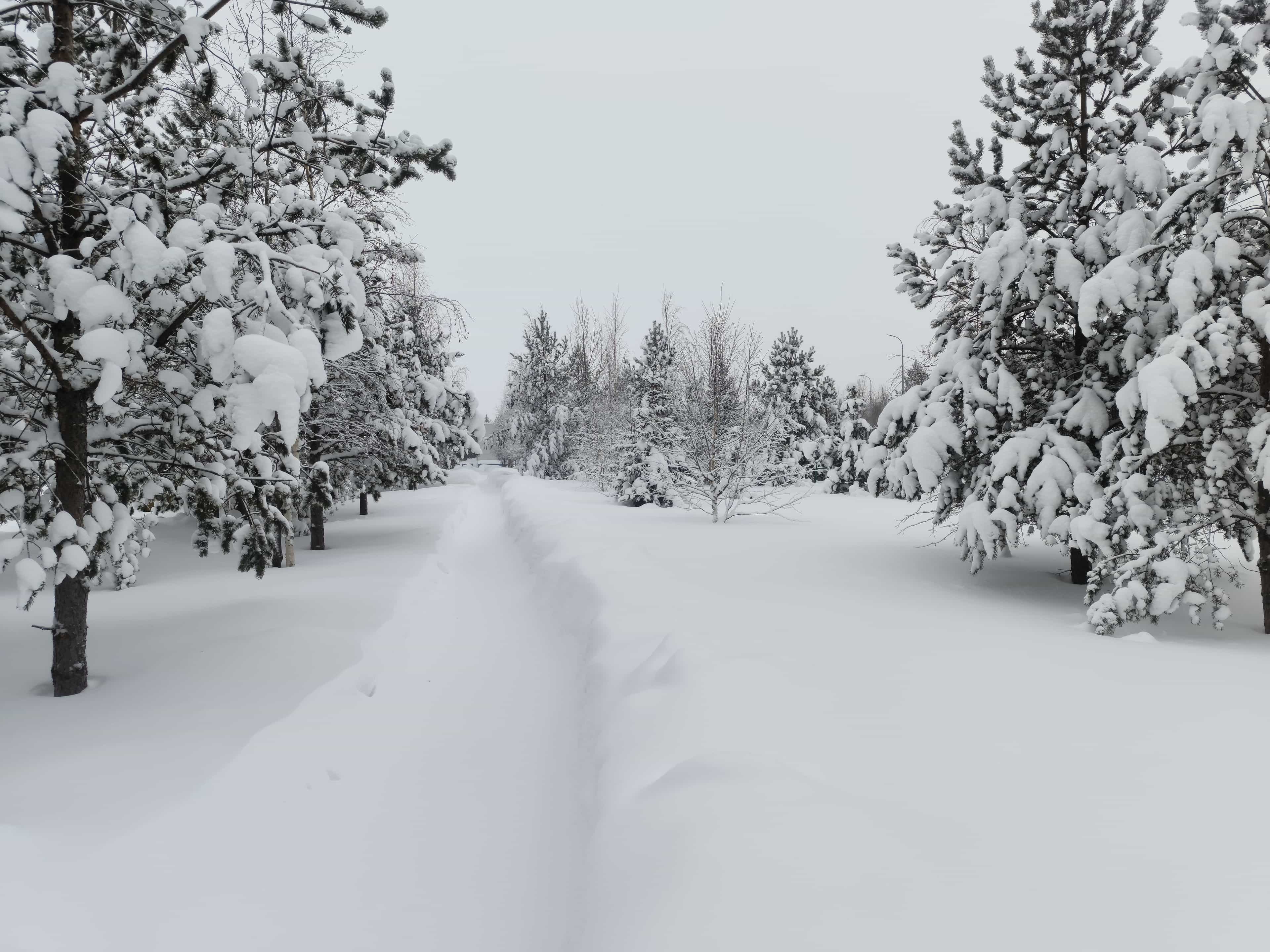 Photo from Surgut: snowy 13.