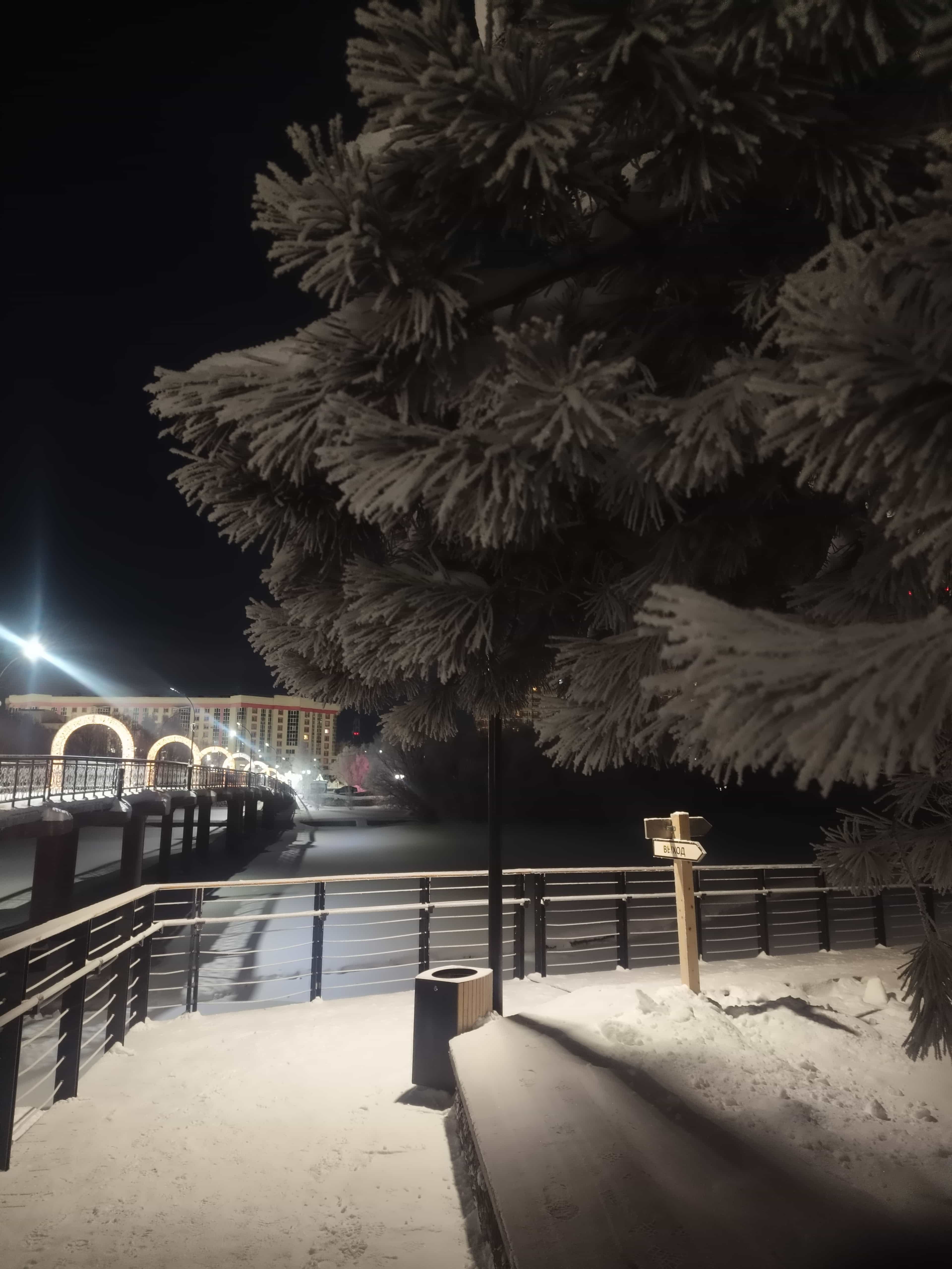 Photo from Surgut: snowy park 19.