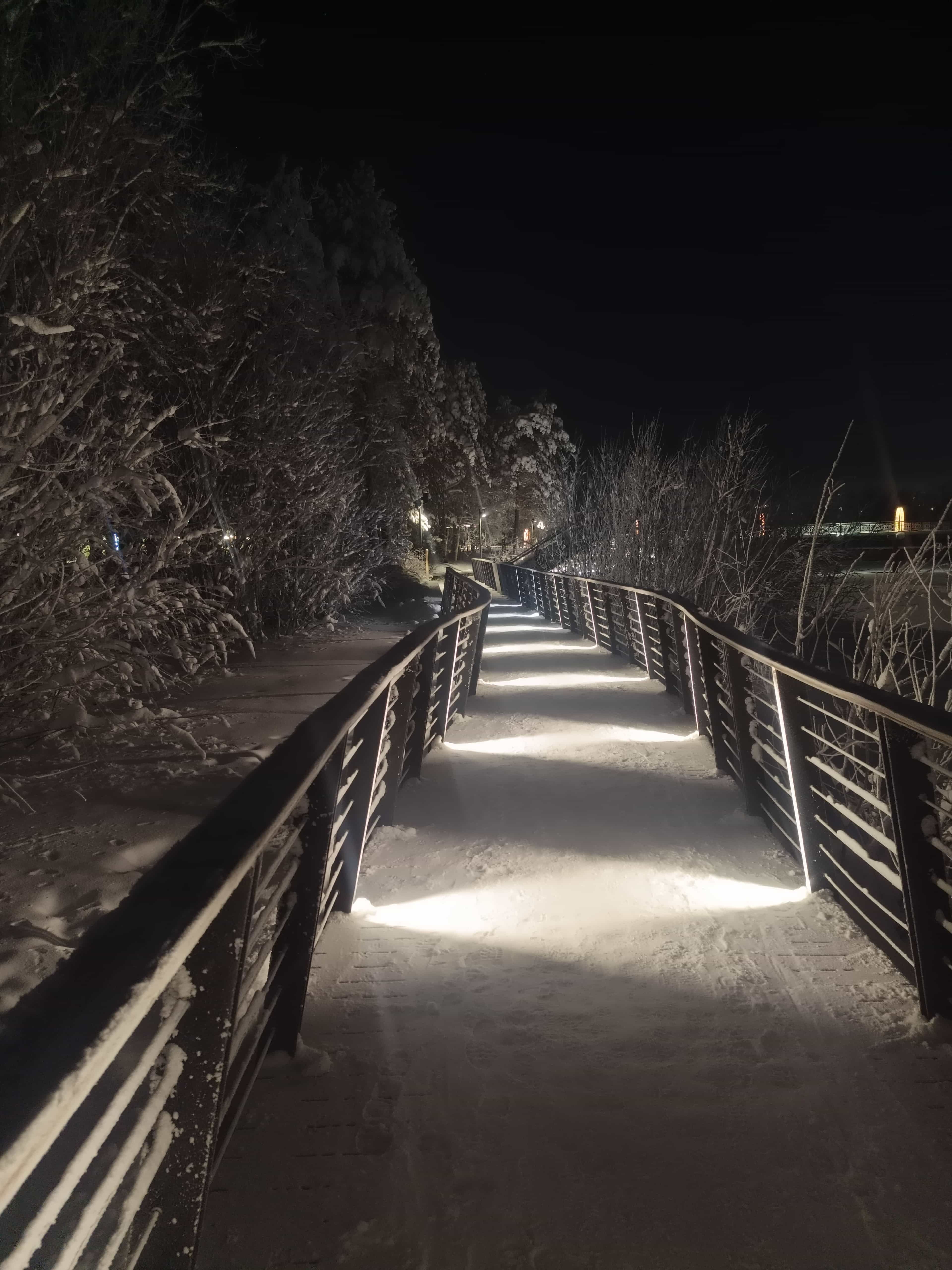 Photo from Surgut: snowy park 22.