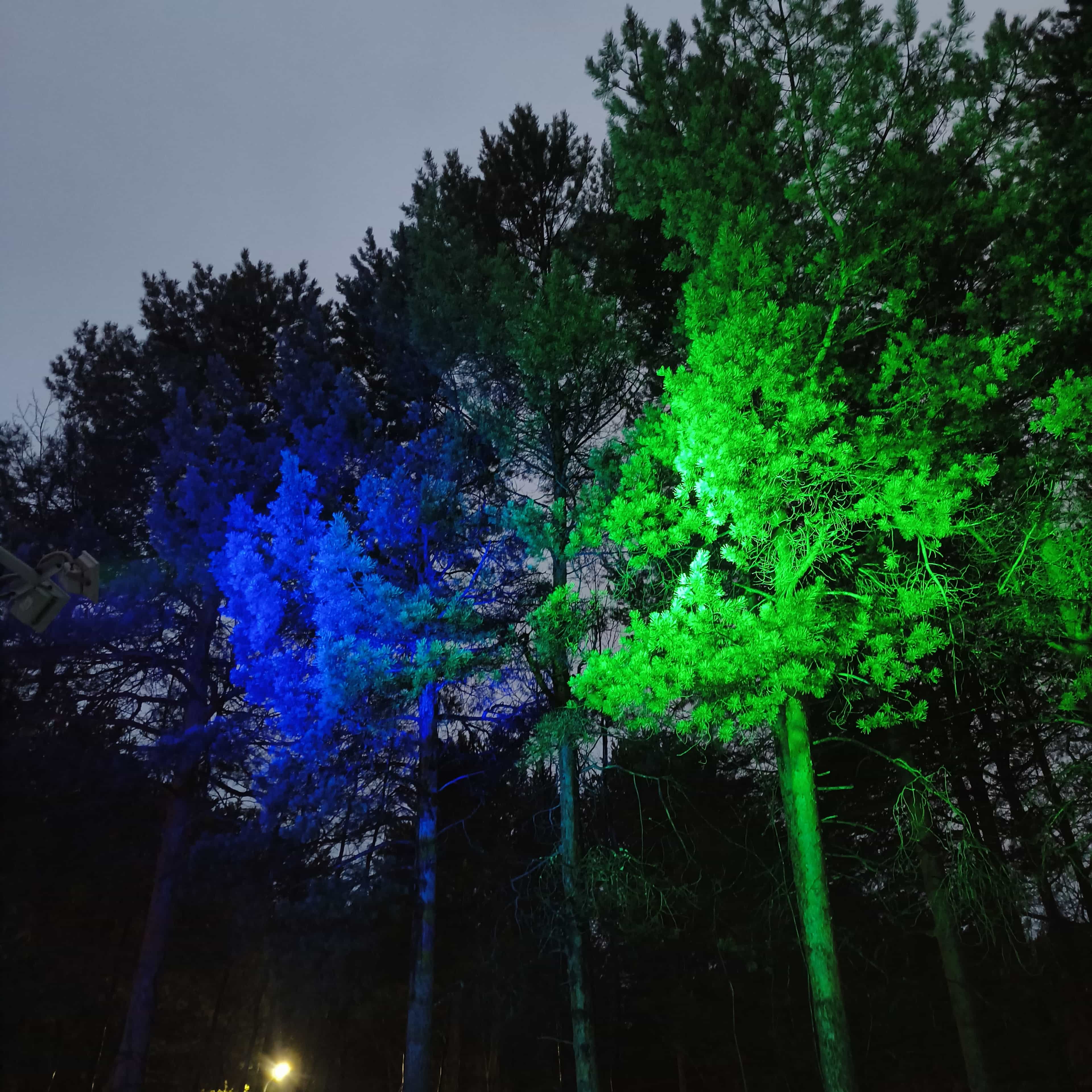 Photo from Surgut: spring 13.