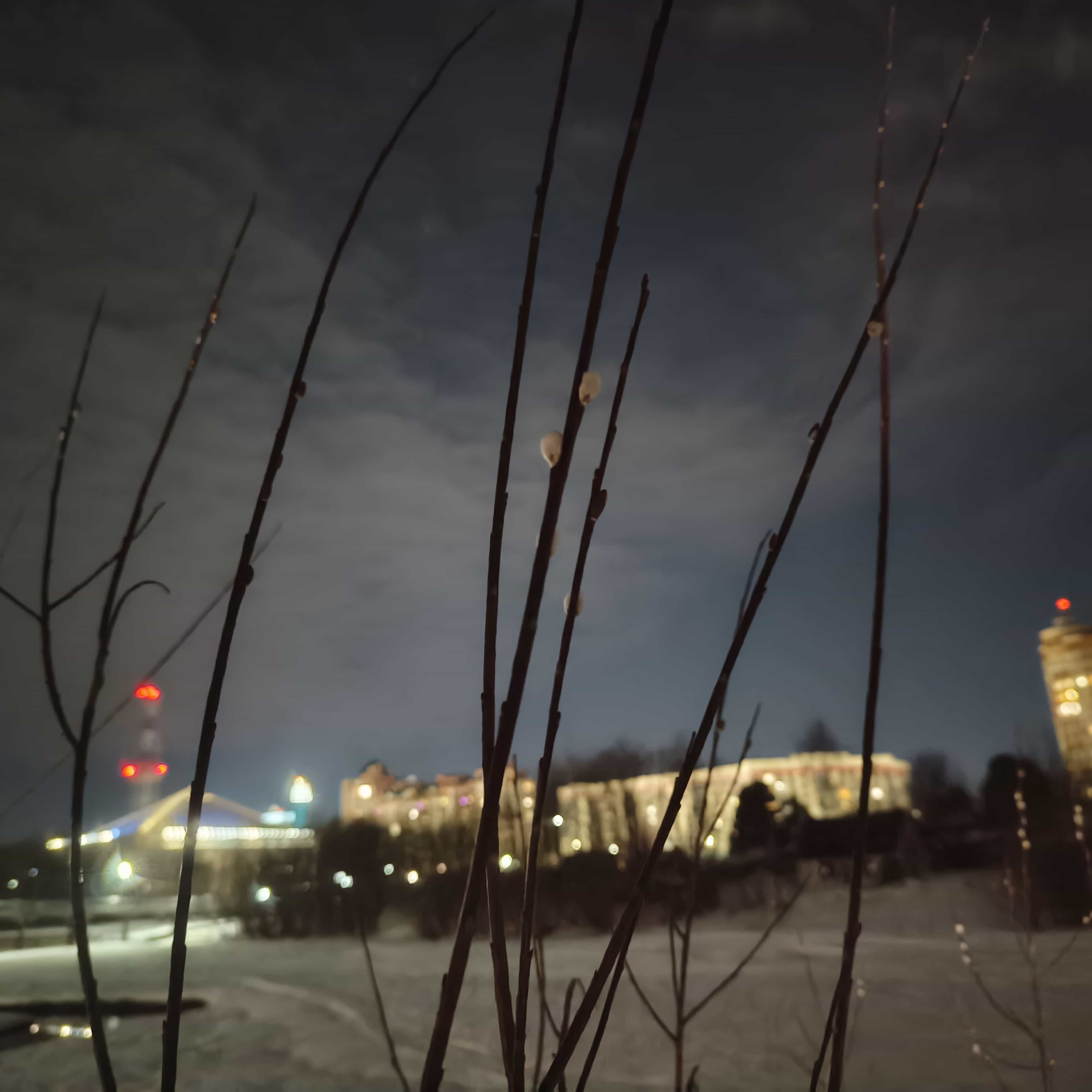 Photo from Surgut: spring 6.