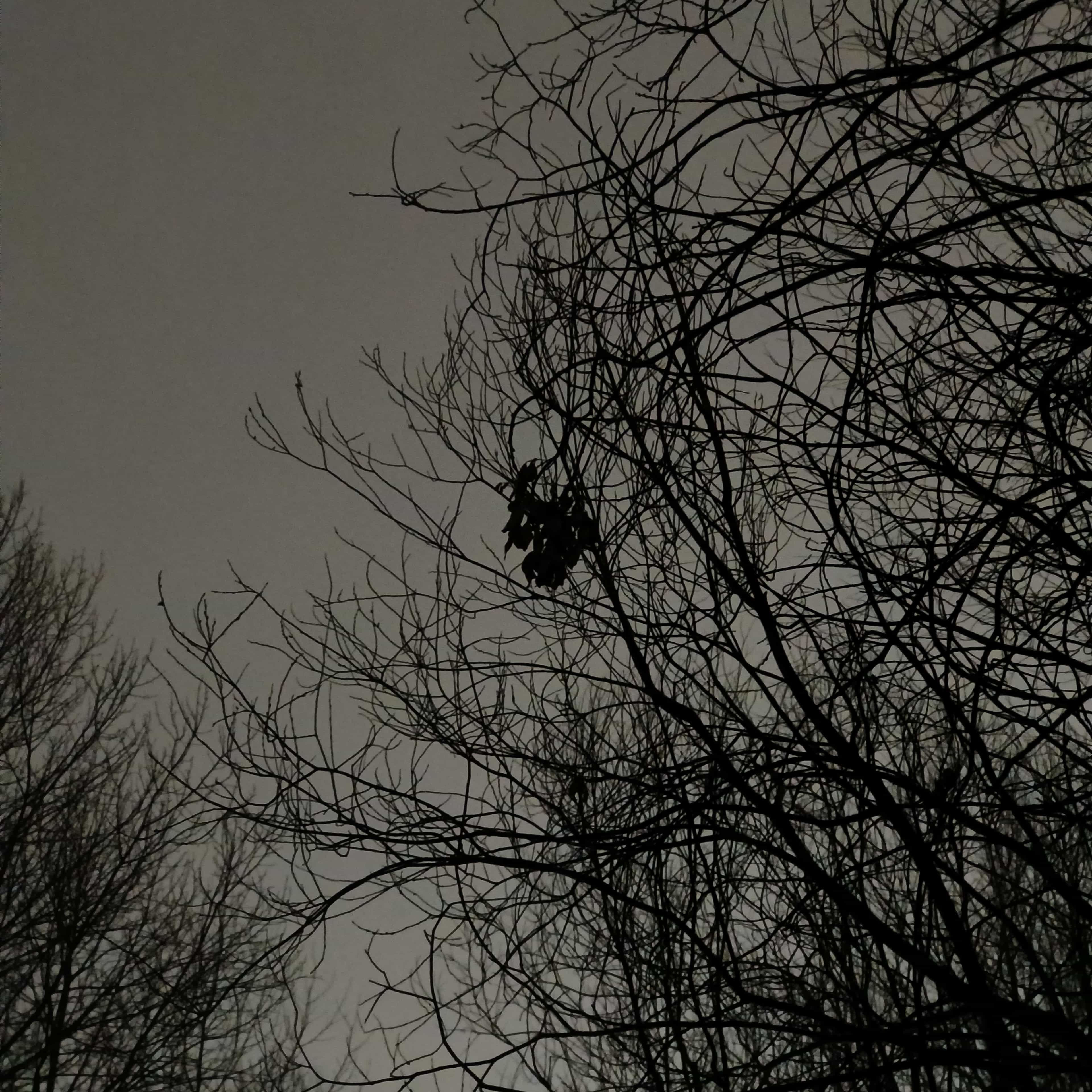 Photo from Surgut: spring 7.