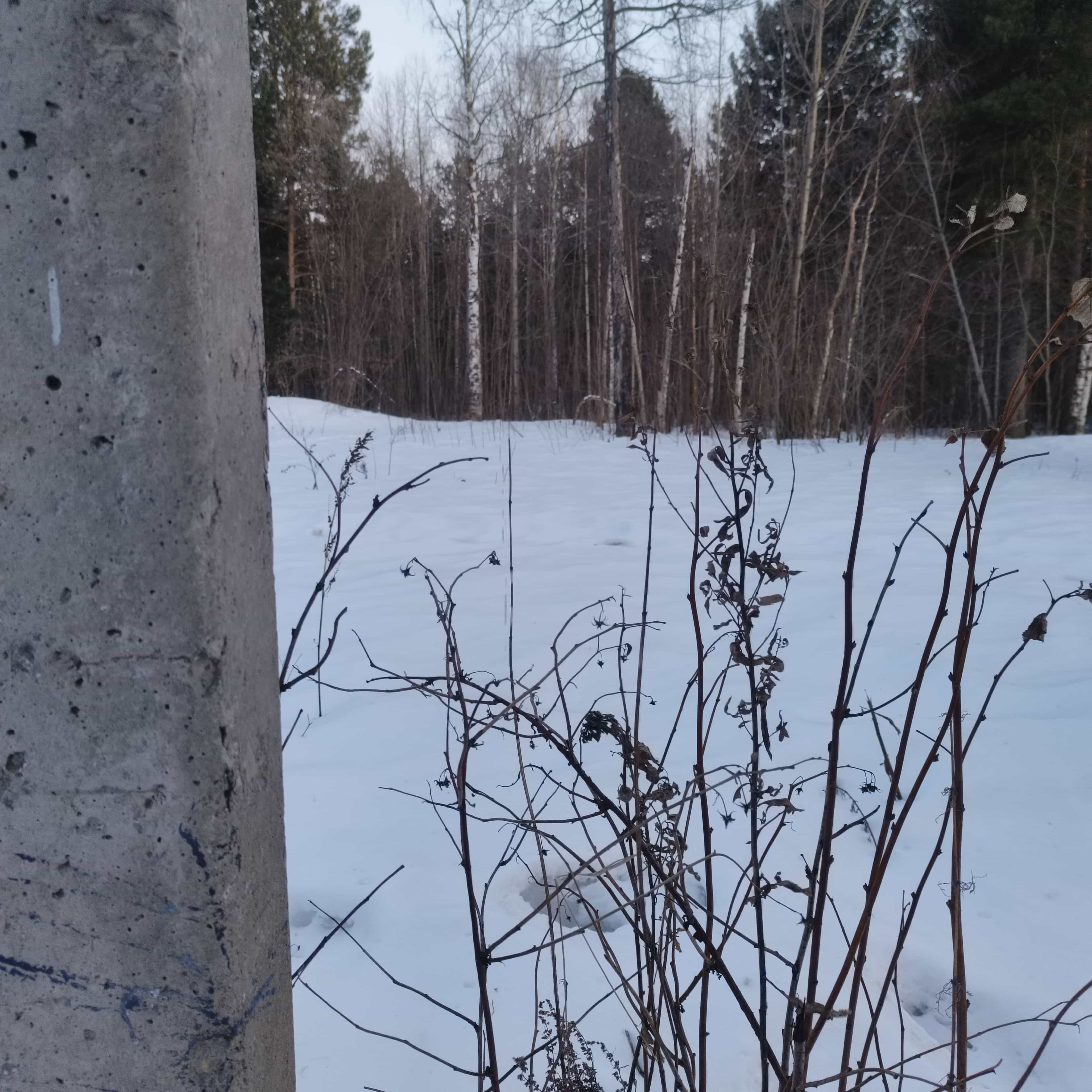 Photo from Surgut: spring 8.