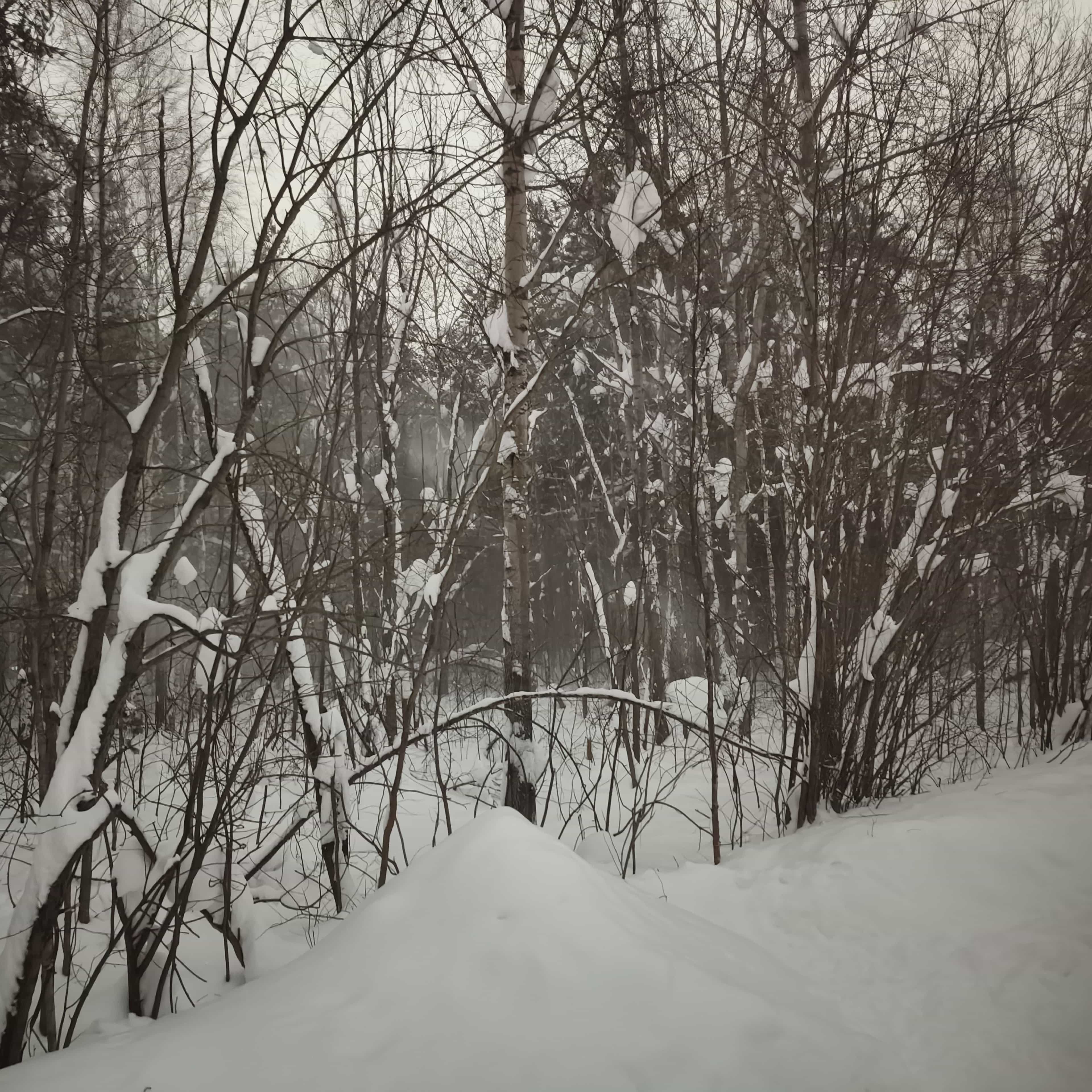Photo from Surgut: windy 1.