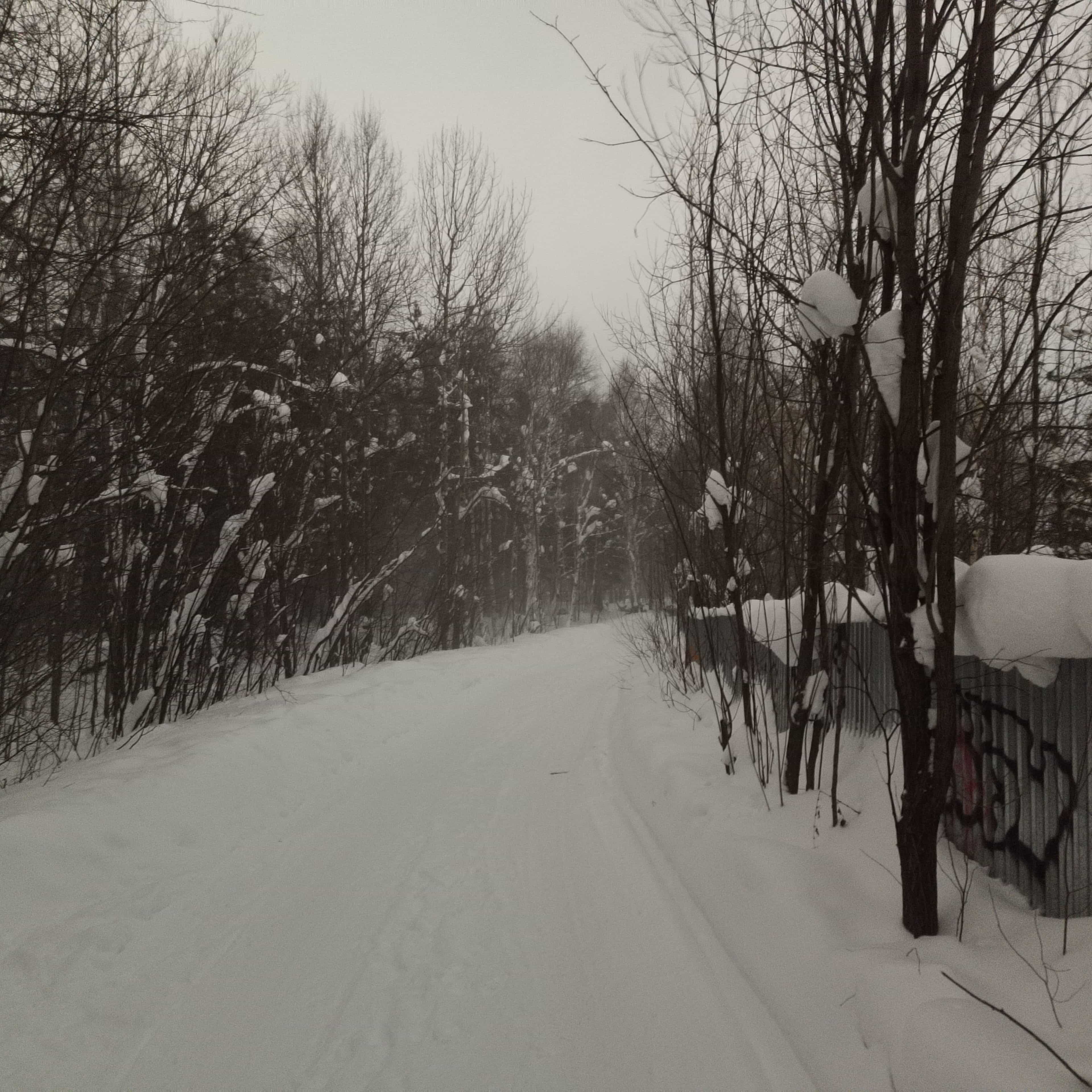 Photo from Surgut: windy 2.