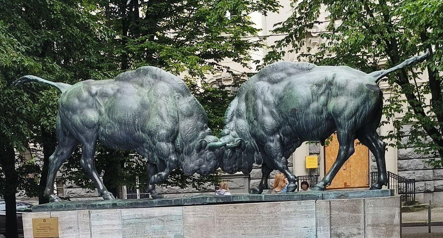 bulls.jpg