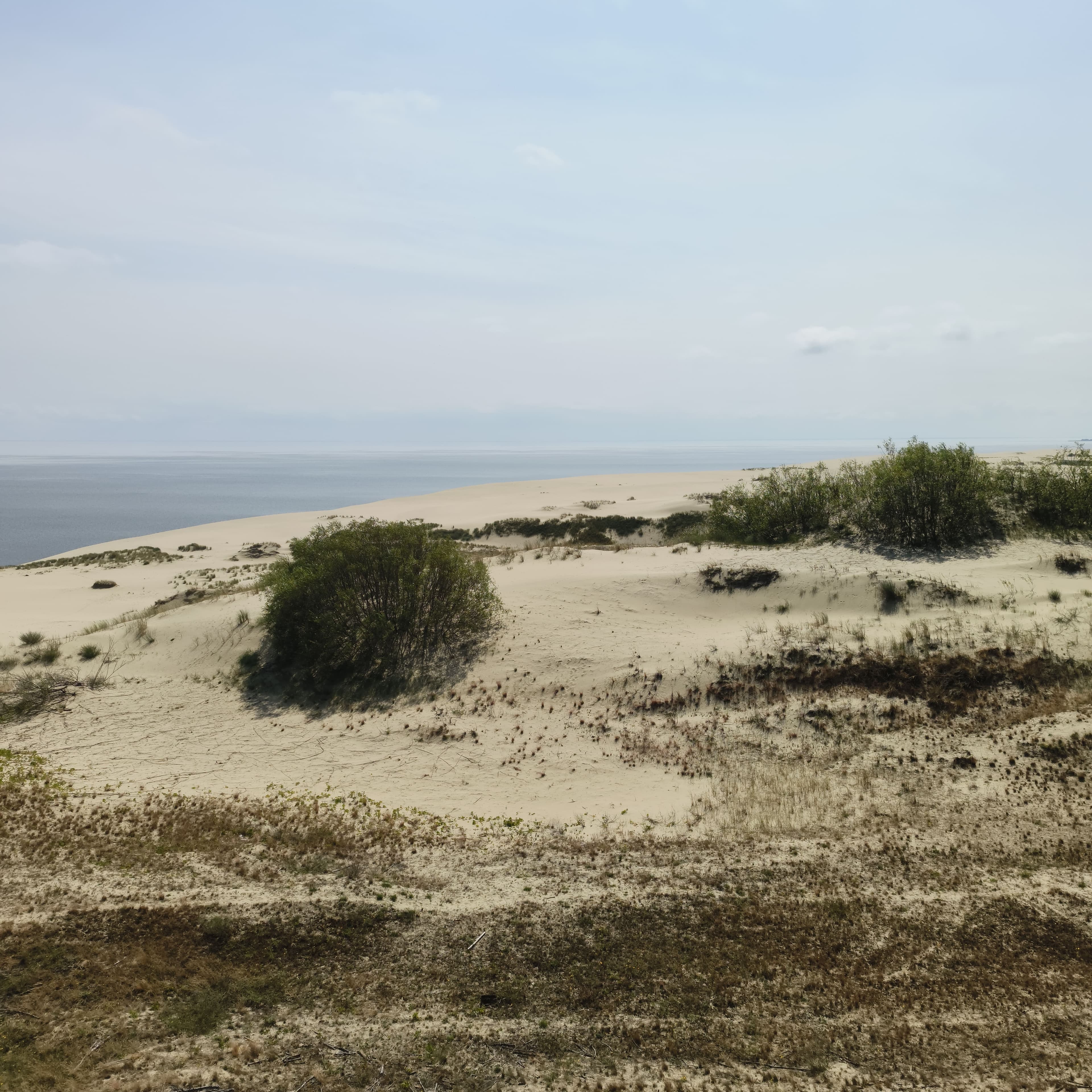 dune-3.jpg