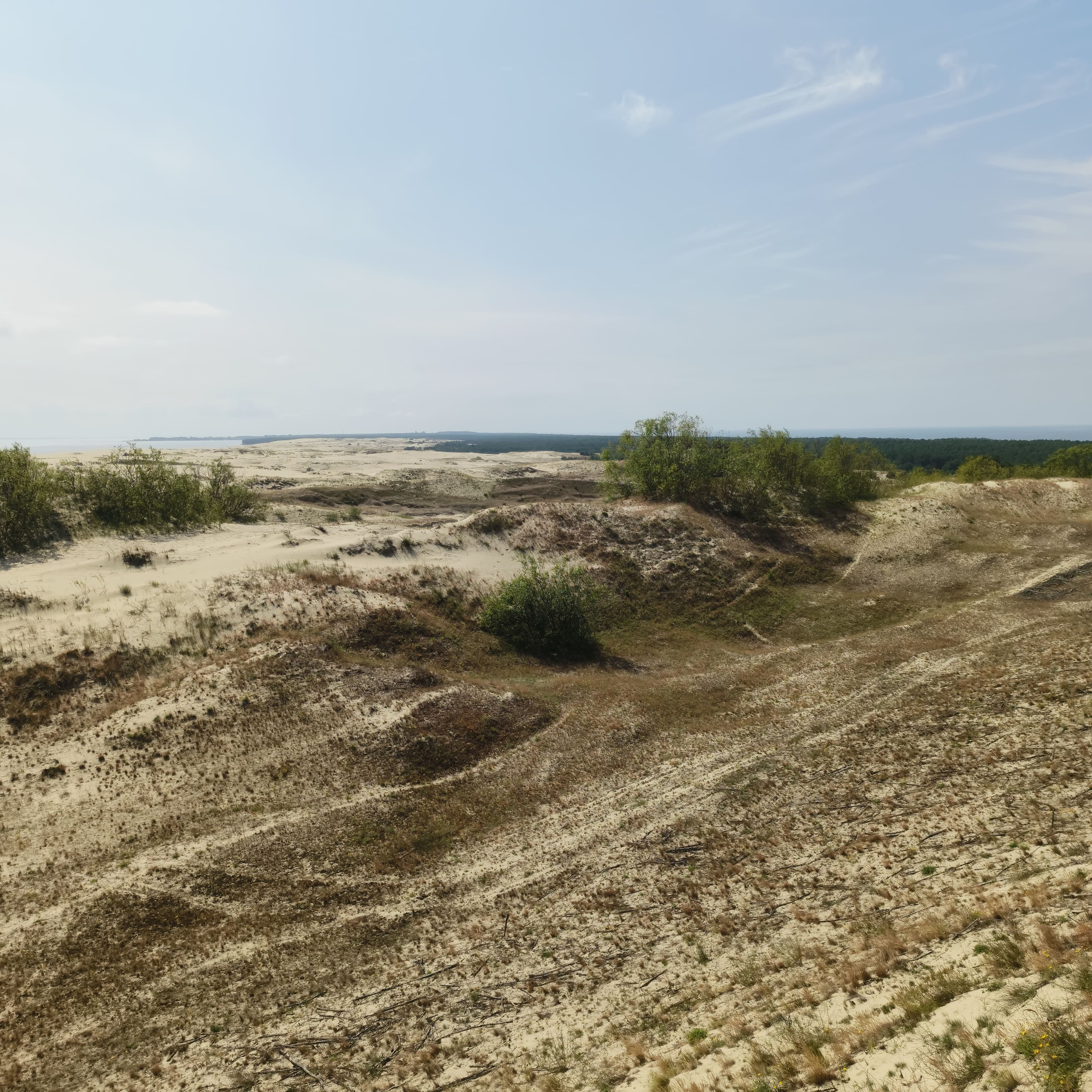 dune-4.jpg