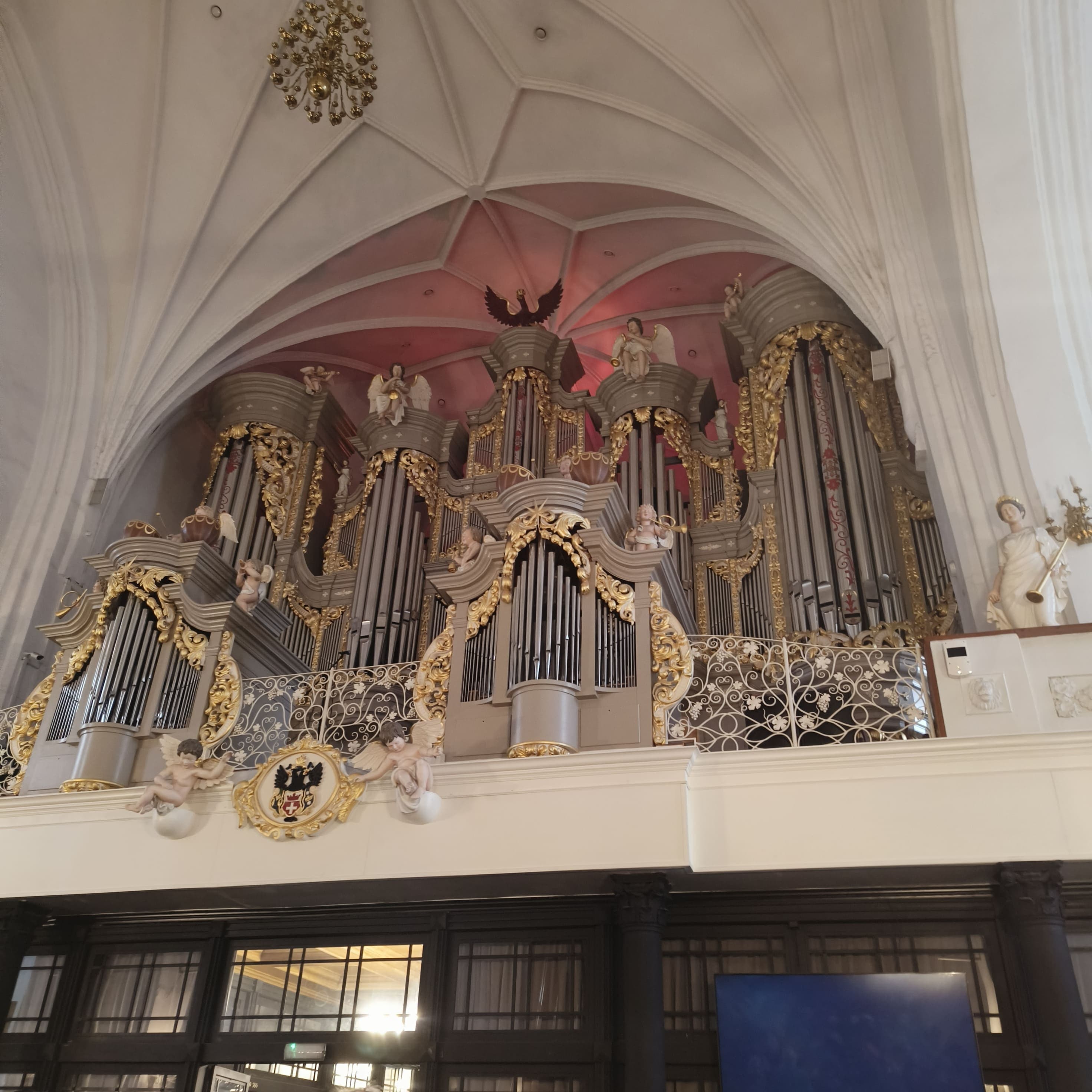 organ.jpg