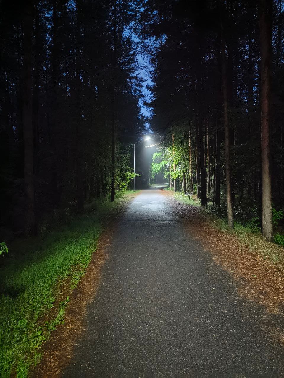 park-1.jpg