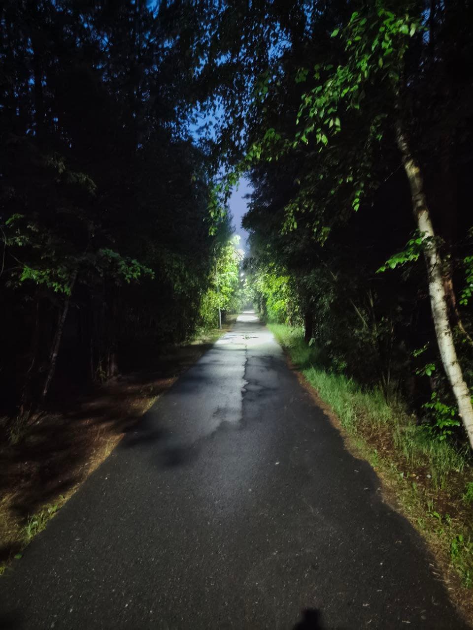 park-4.jpg