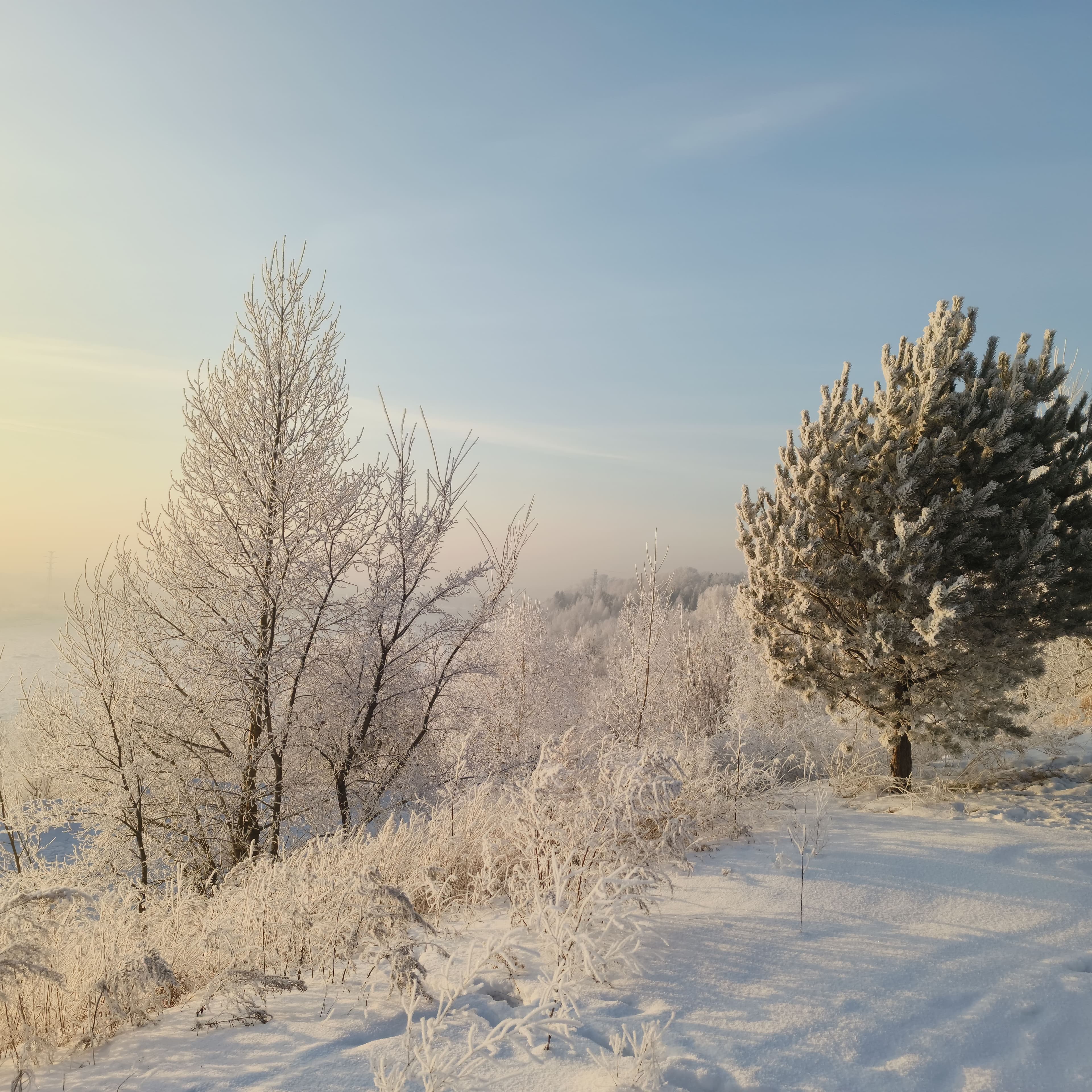 snowy-1.jpg