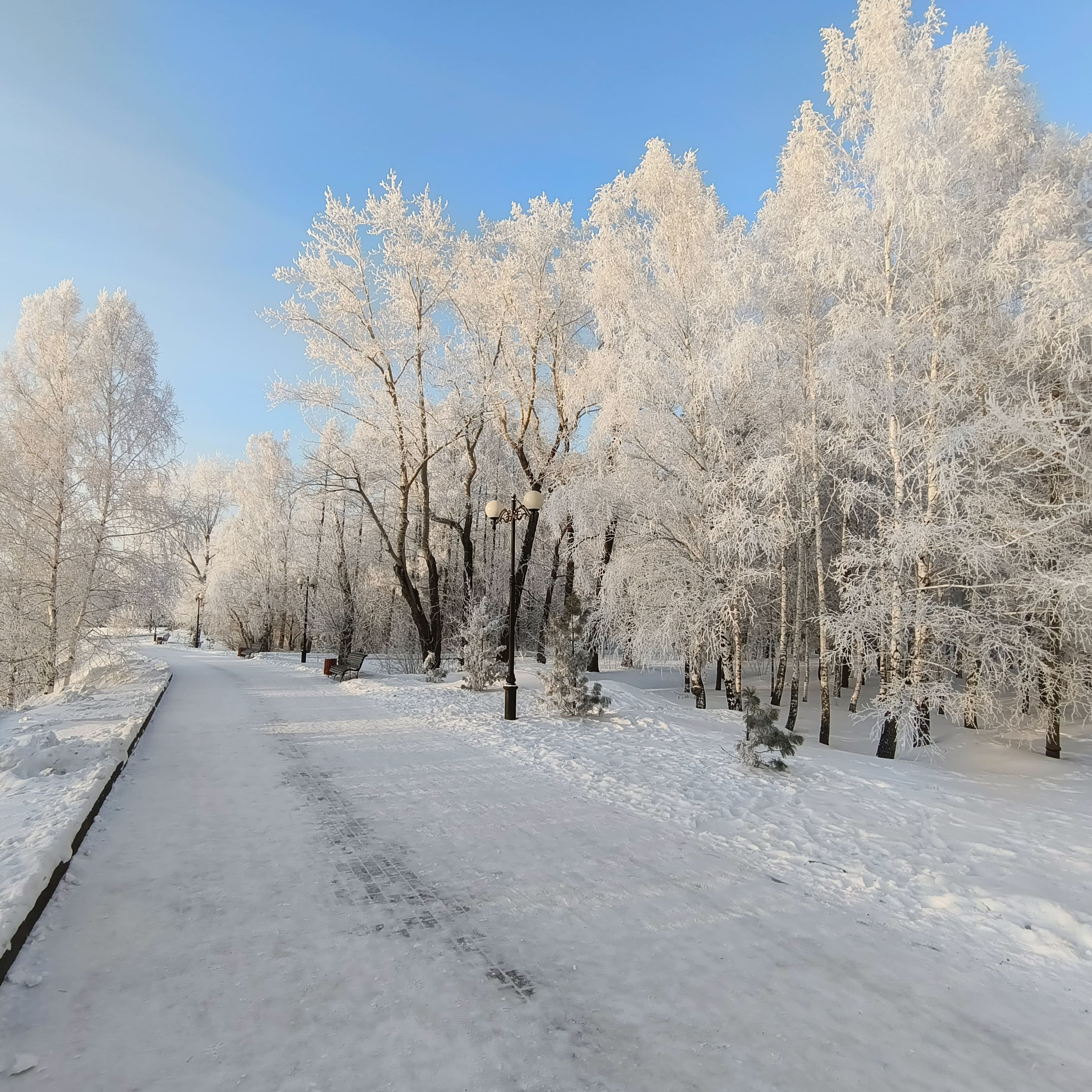 snowy-2.jpg