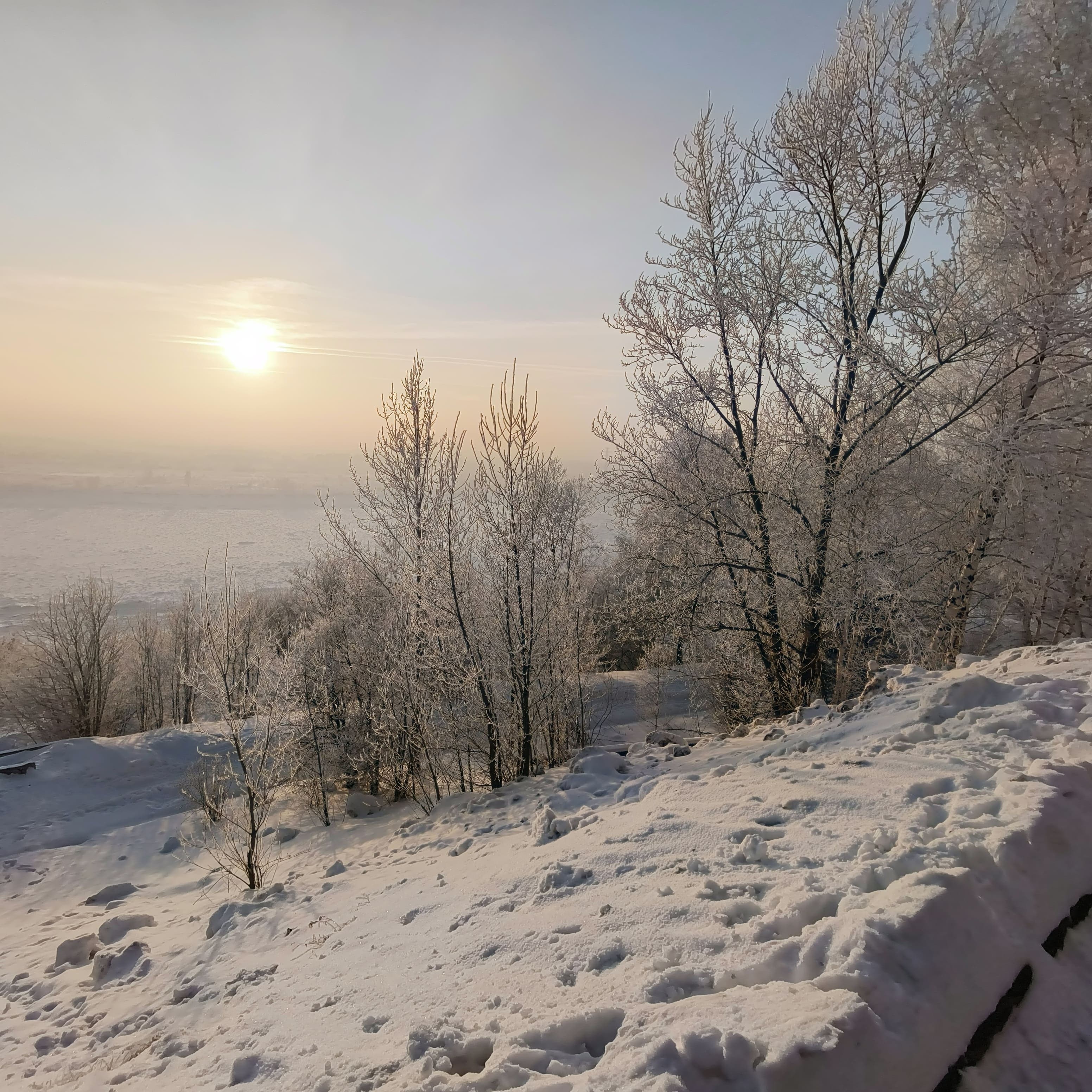 snowy-3.jpg