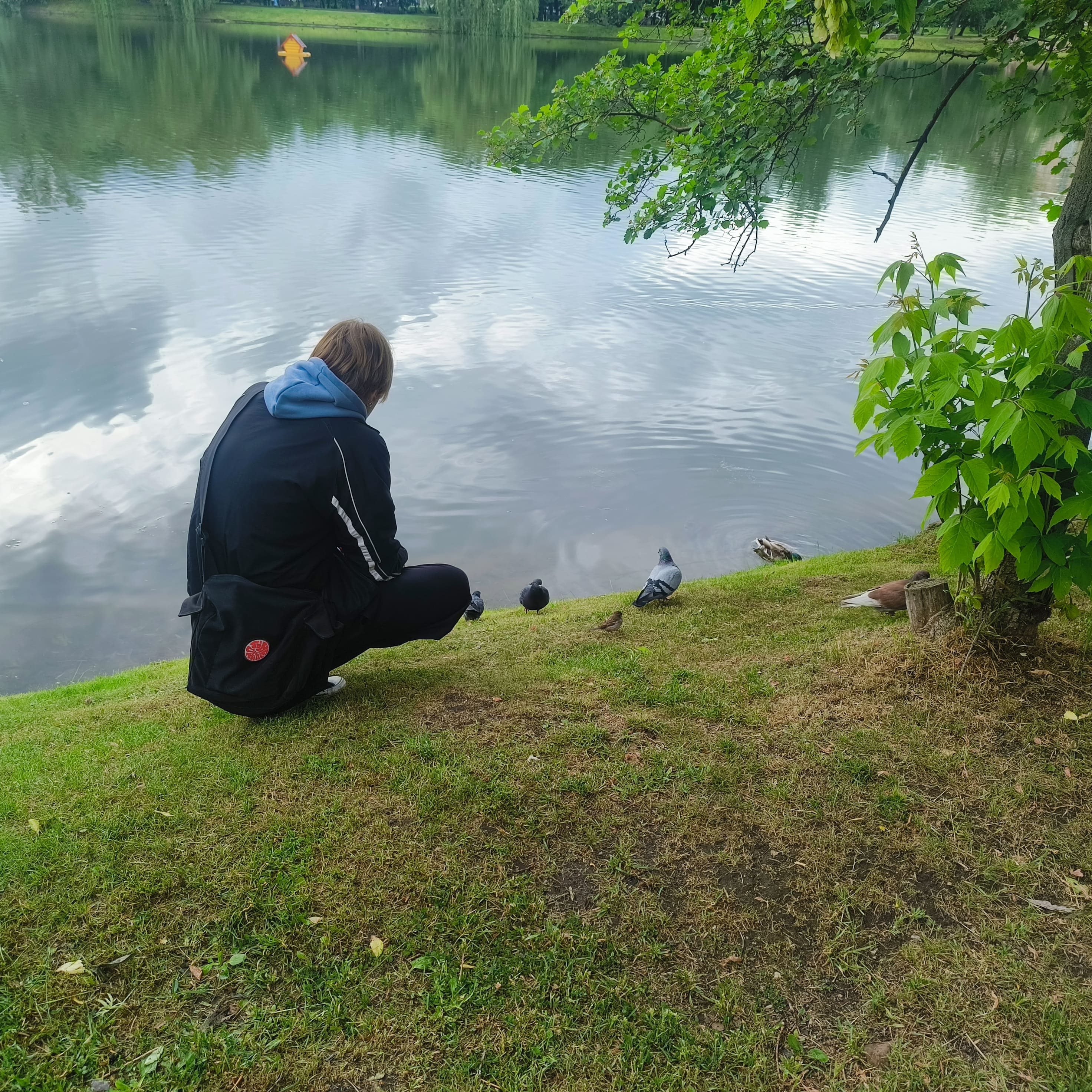 Photo from Moscow: feeding.