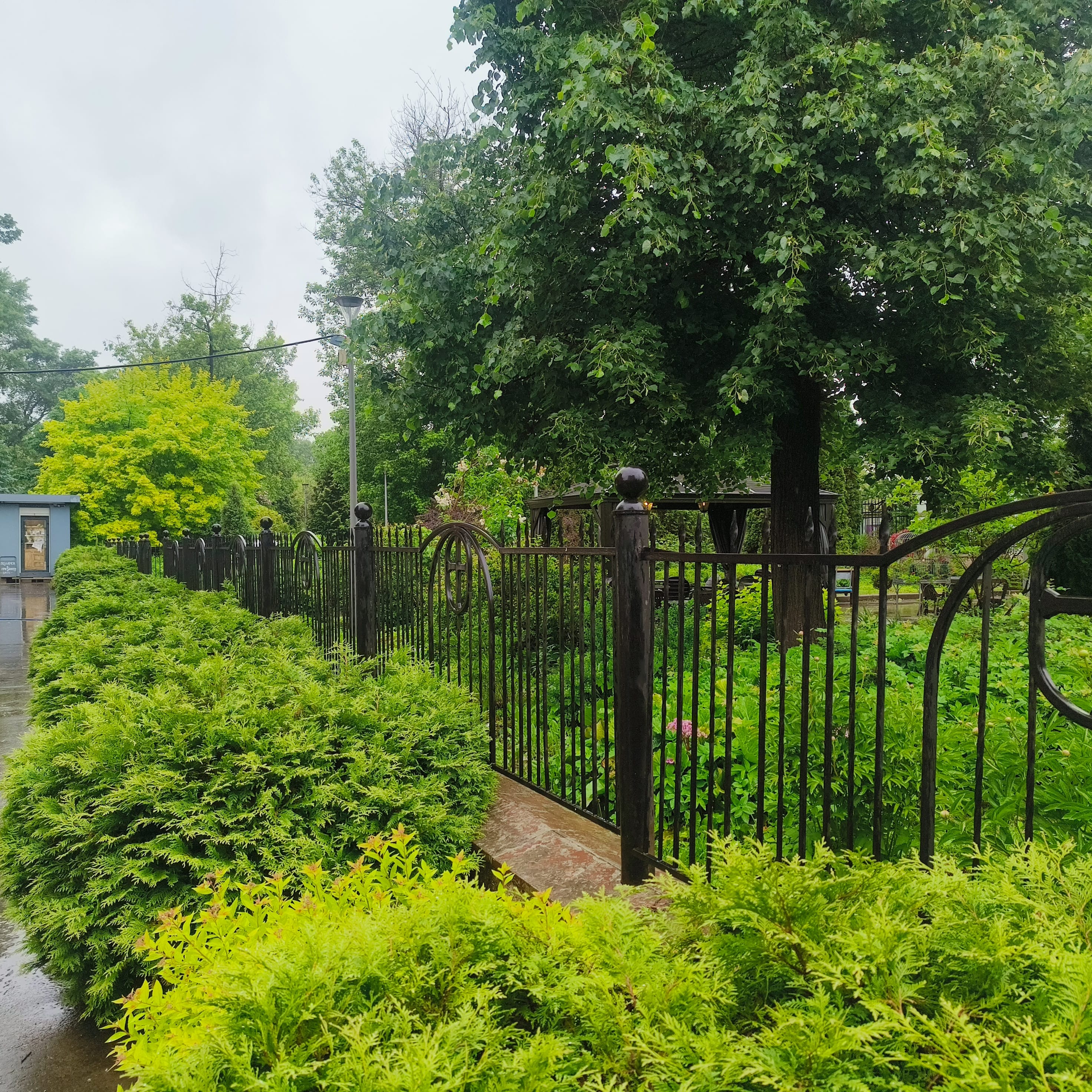 Photo from Moscow: green garden fence.