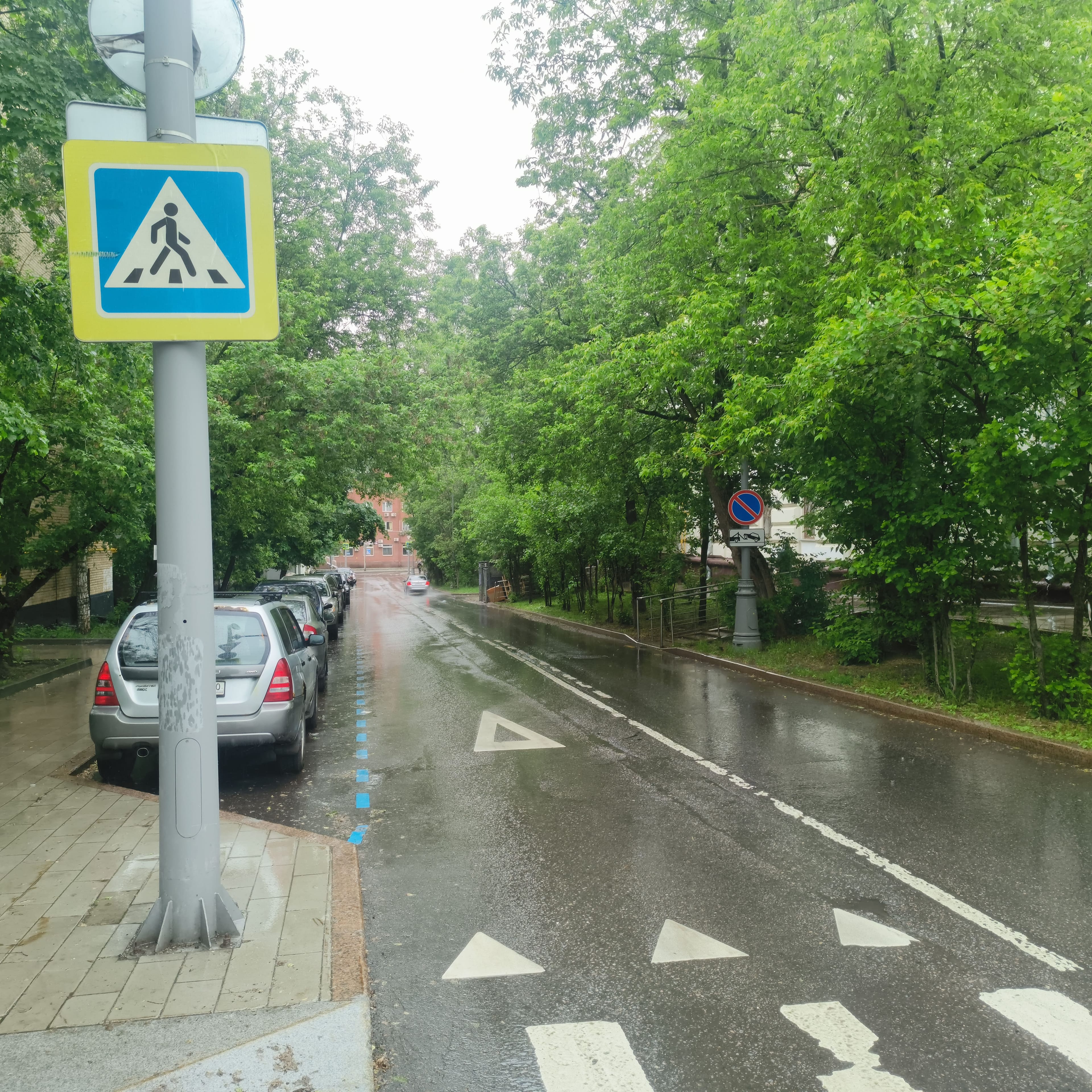 Photo from Moscow: rainy crosswalk.