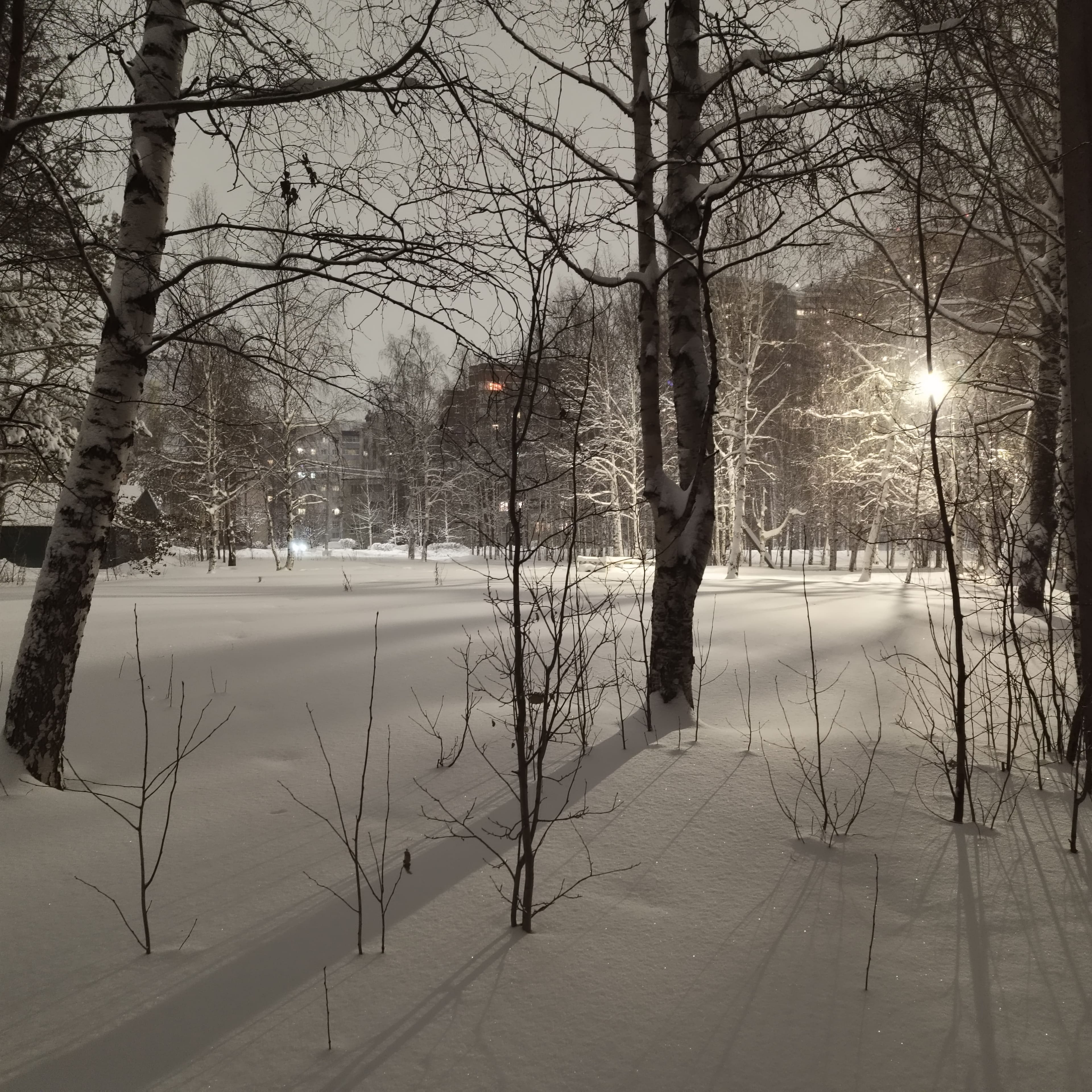 Photo from Surgut: city 1.