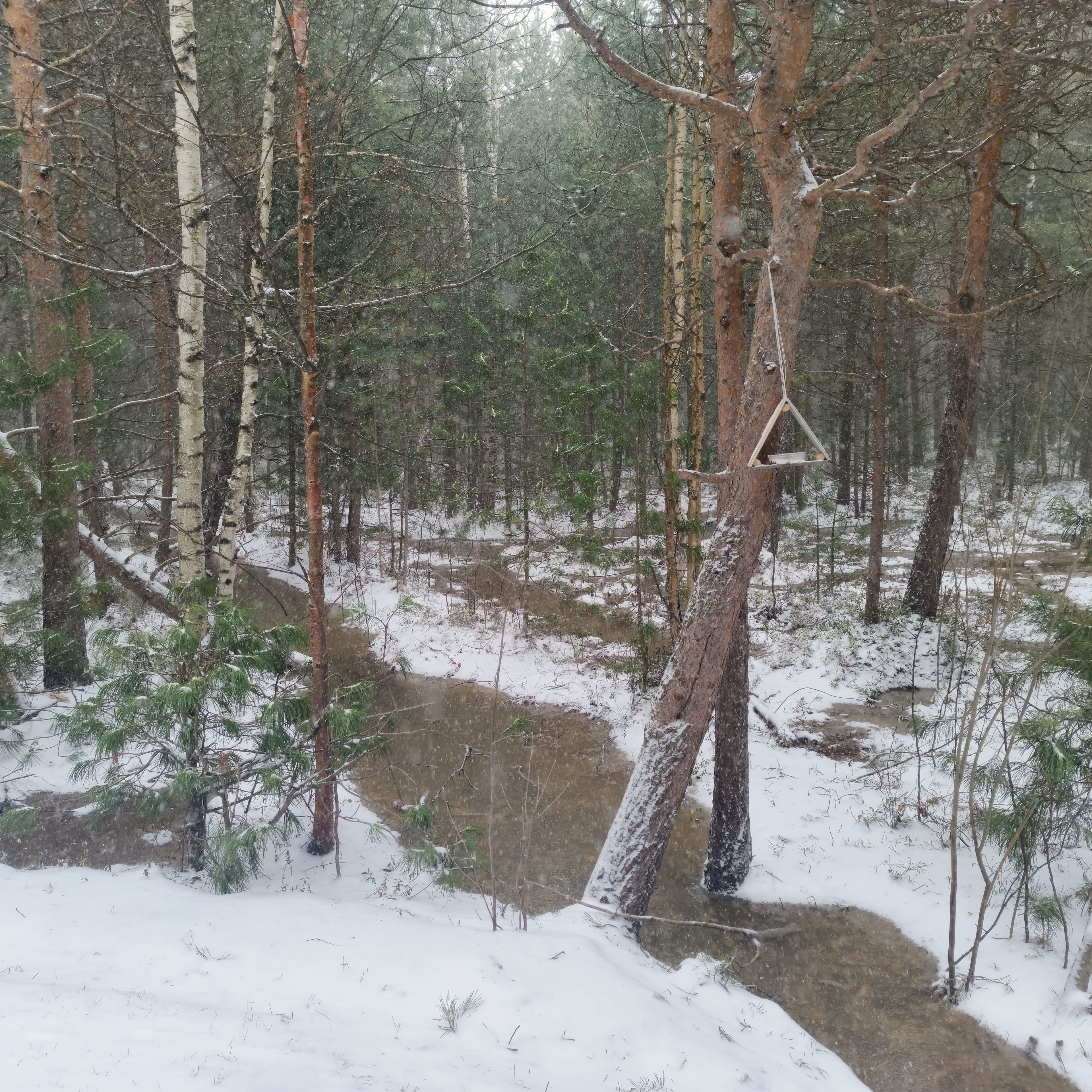 Photo from Surgut: creek snow 1.