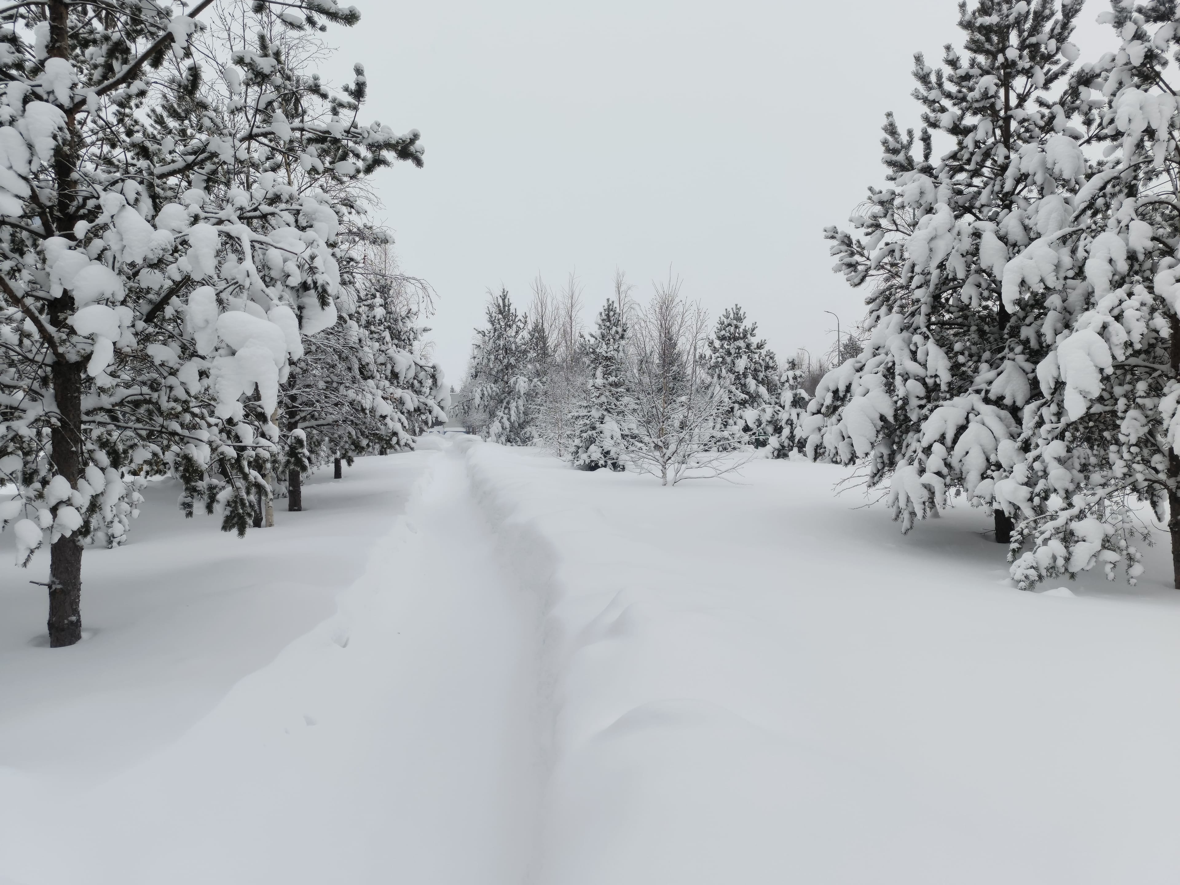 Photo from Surgut: snowy 13.