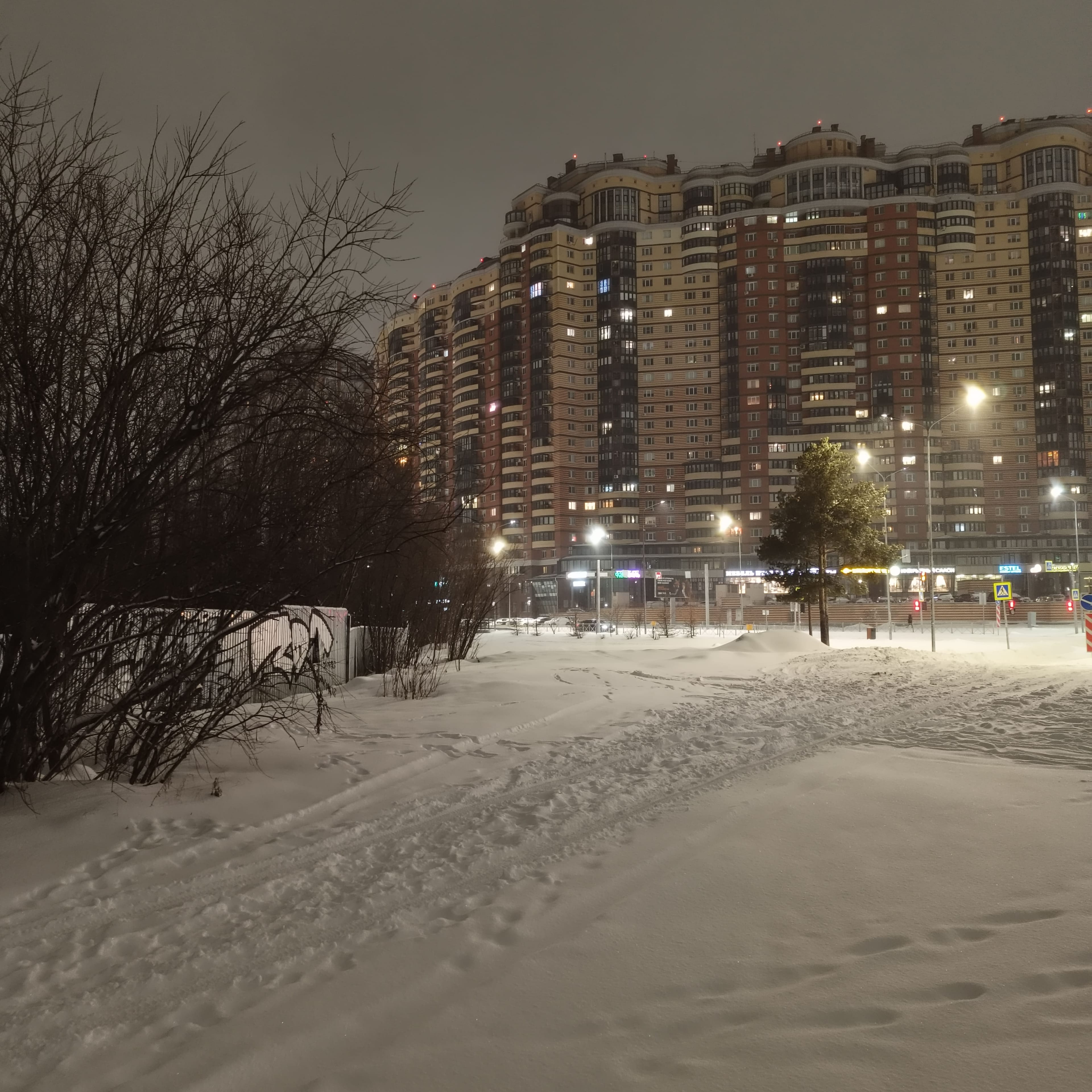 snowy-park-12.jpg
