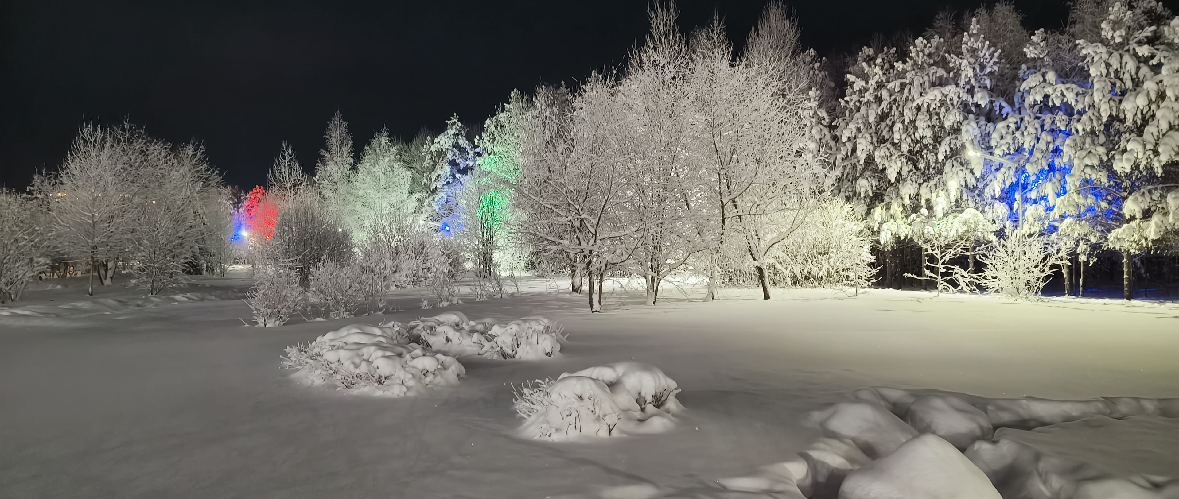 Photo from Surgut: snowy park 17.