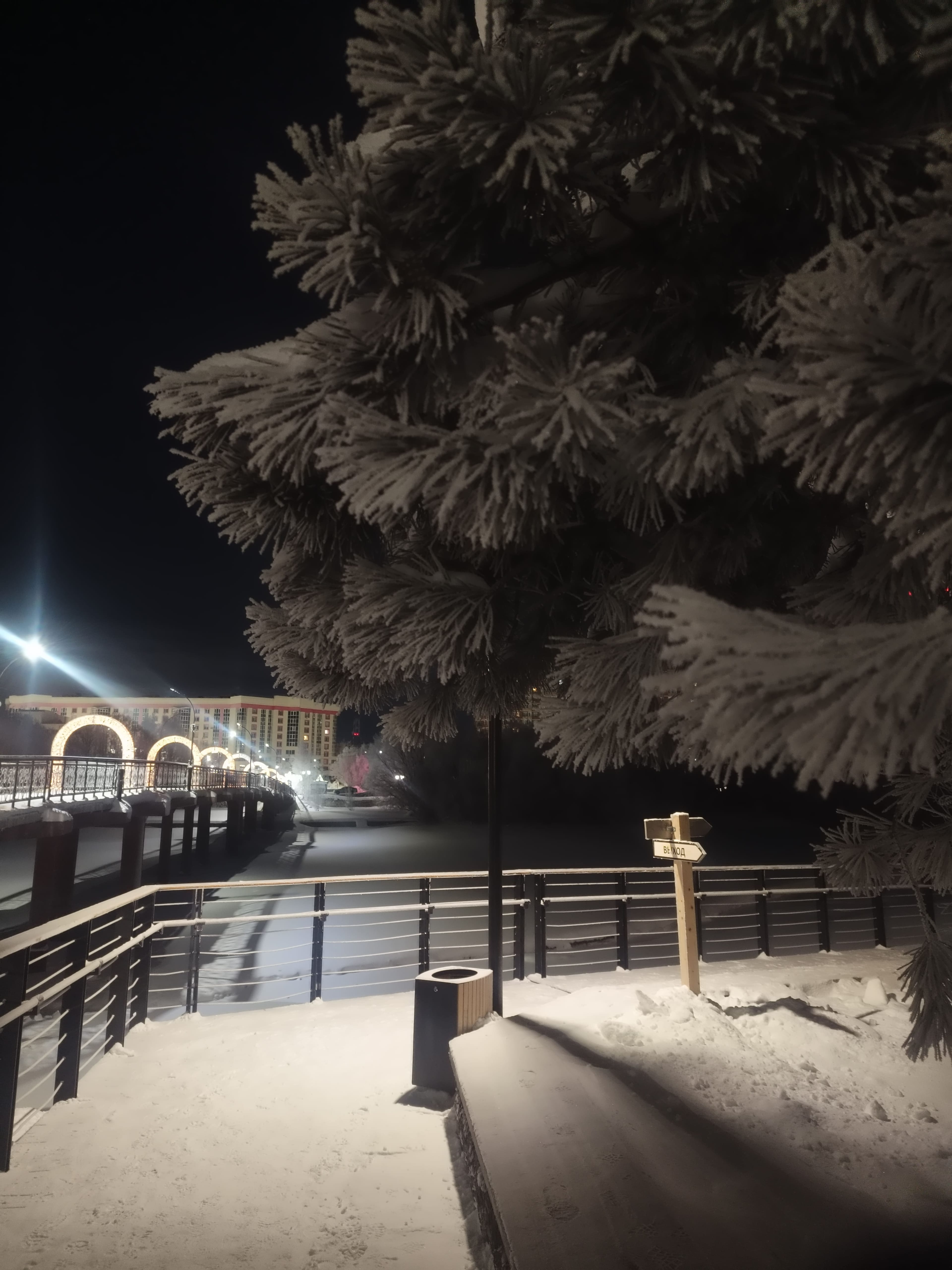 Photo from Surgut: snowy park 19.