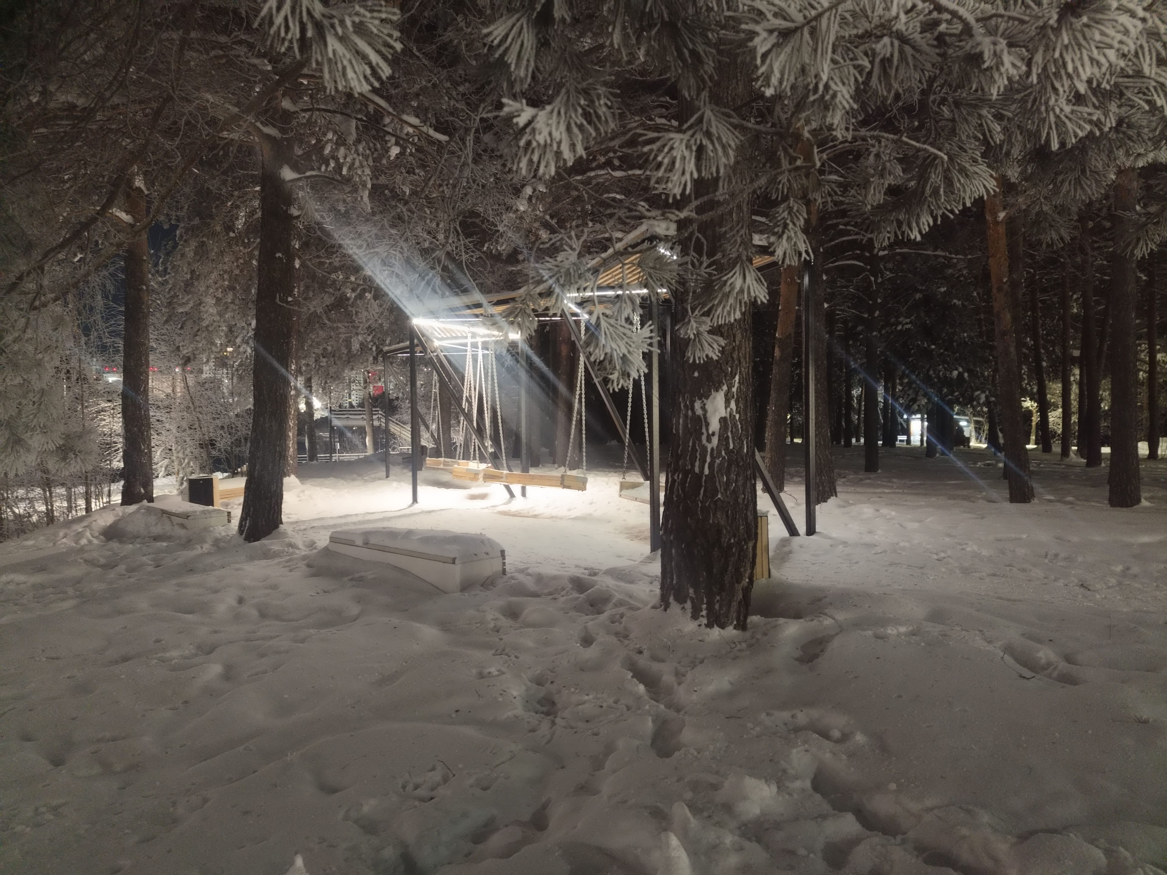 Photo from Surgut: snowy park 20.