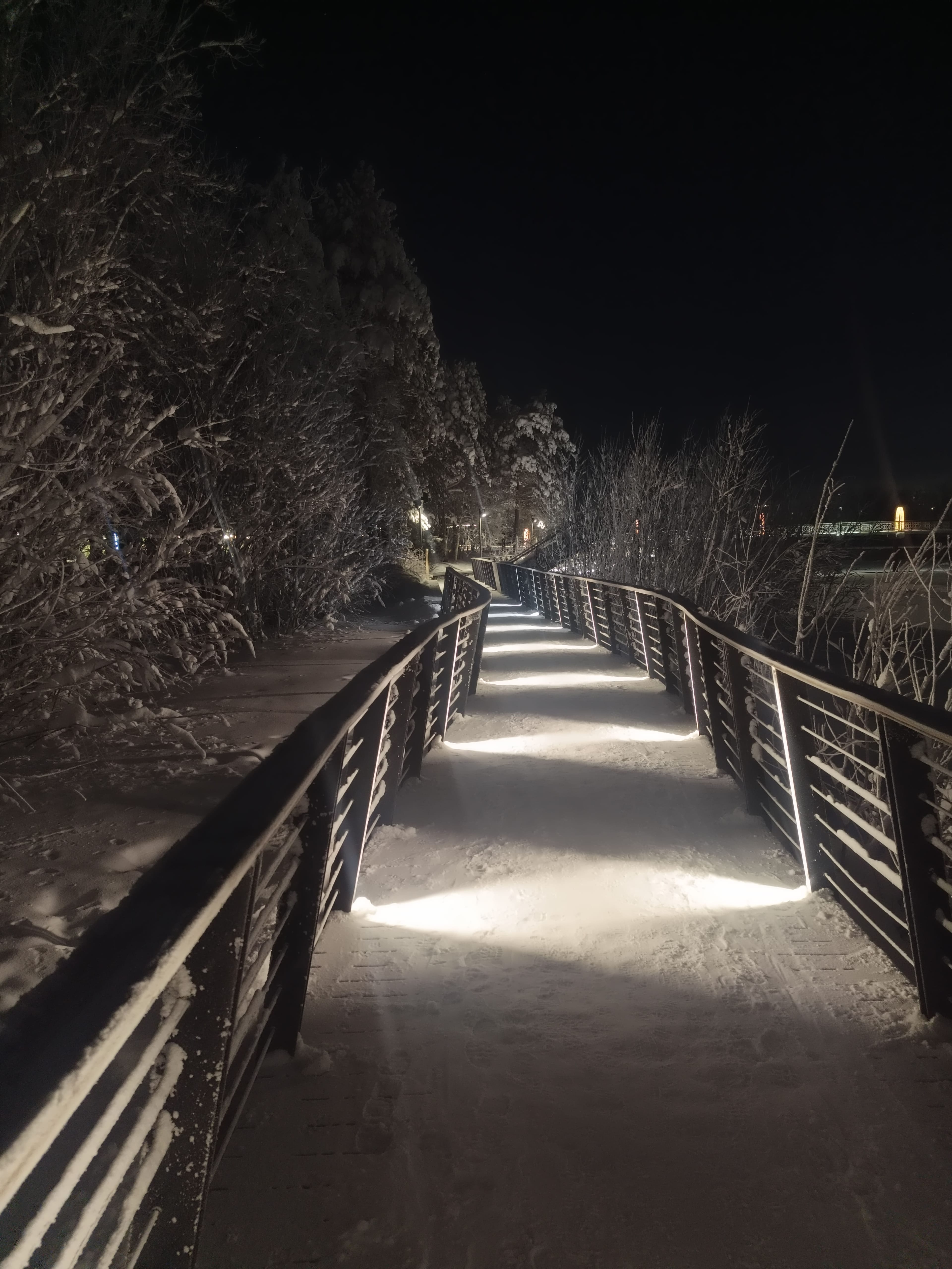 Photo from Surgut: snowy park 22.