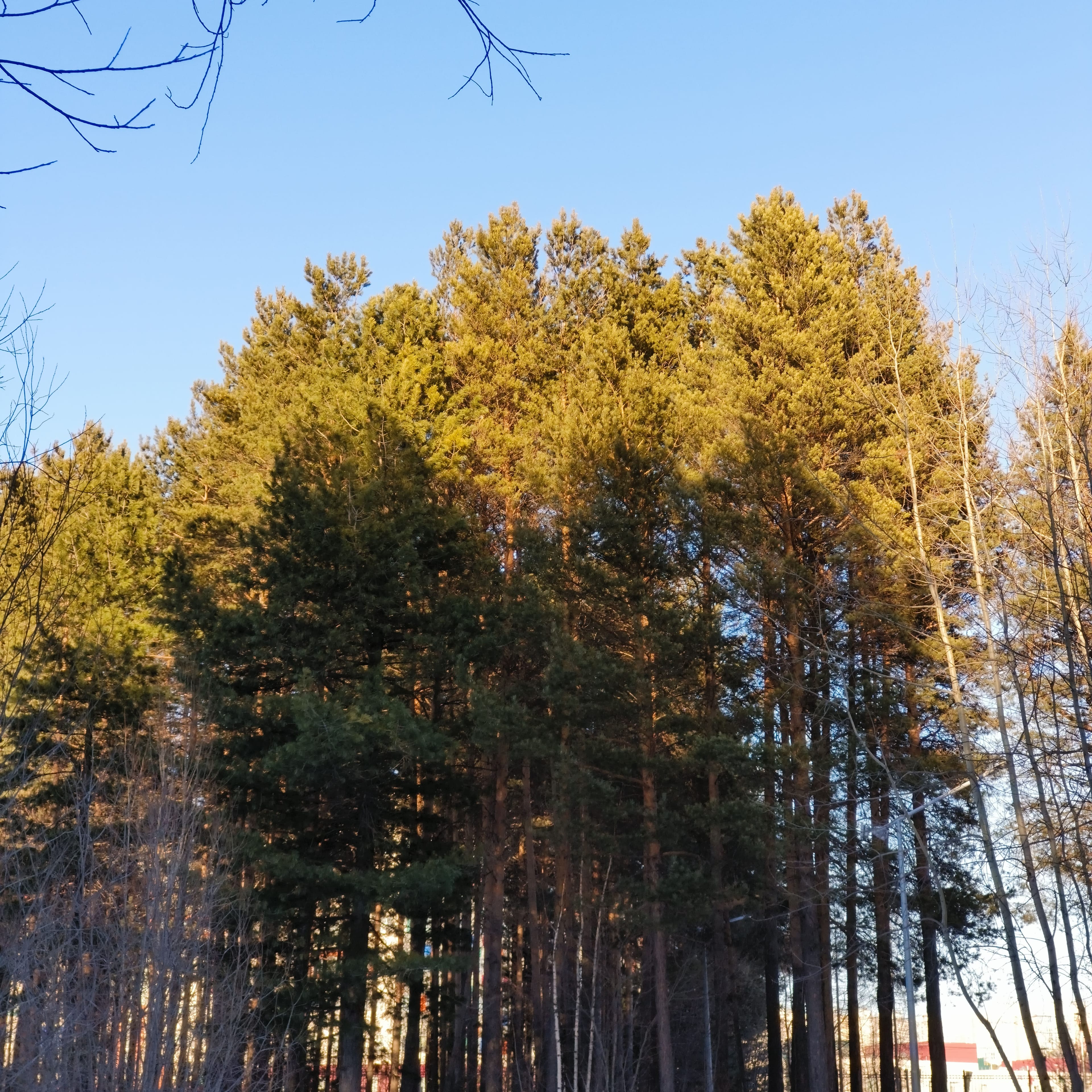 Photo from Surgut: spring 10.