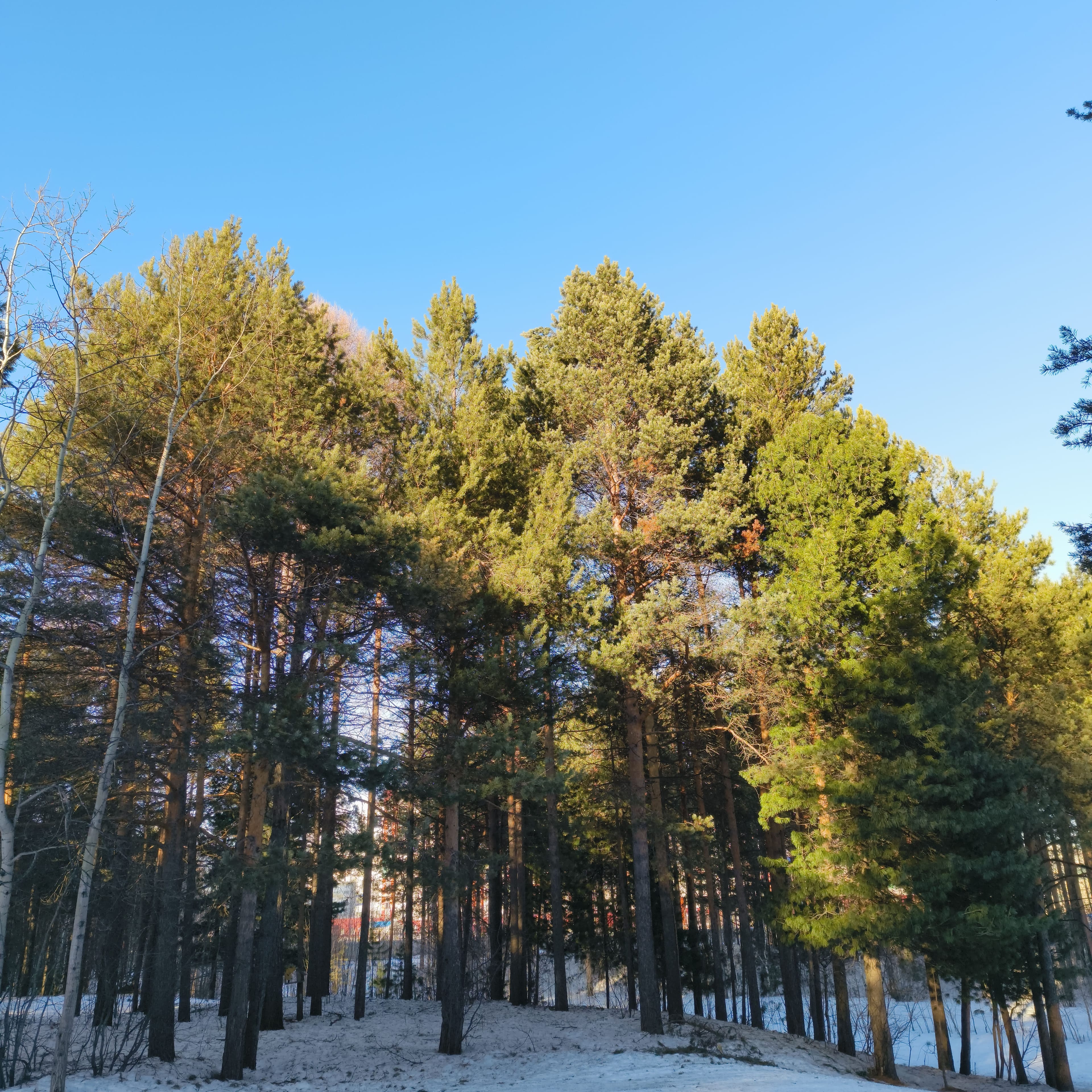 Photo from Surgut: spring 12.