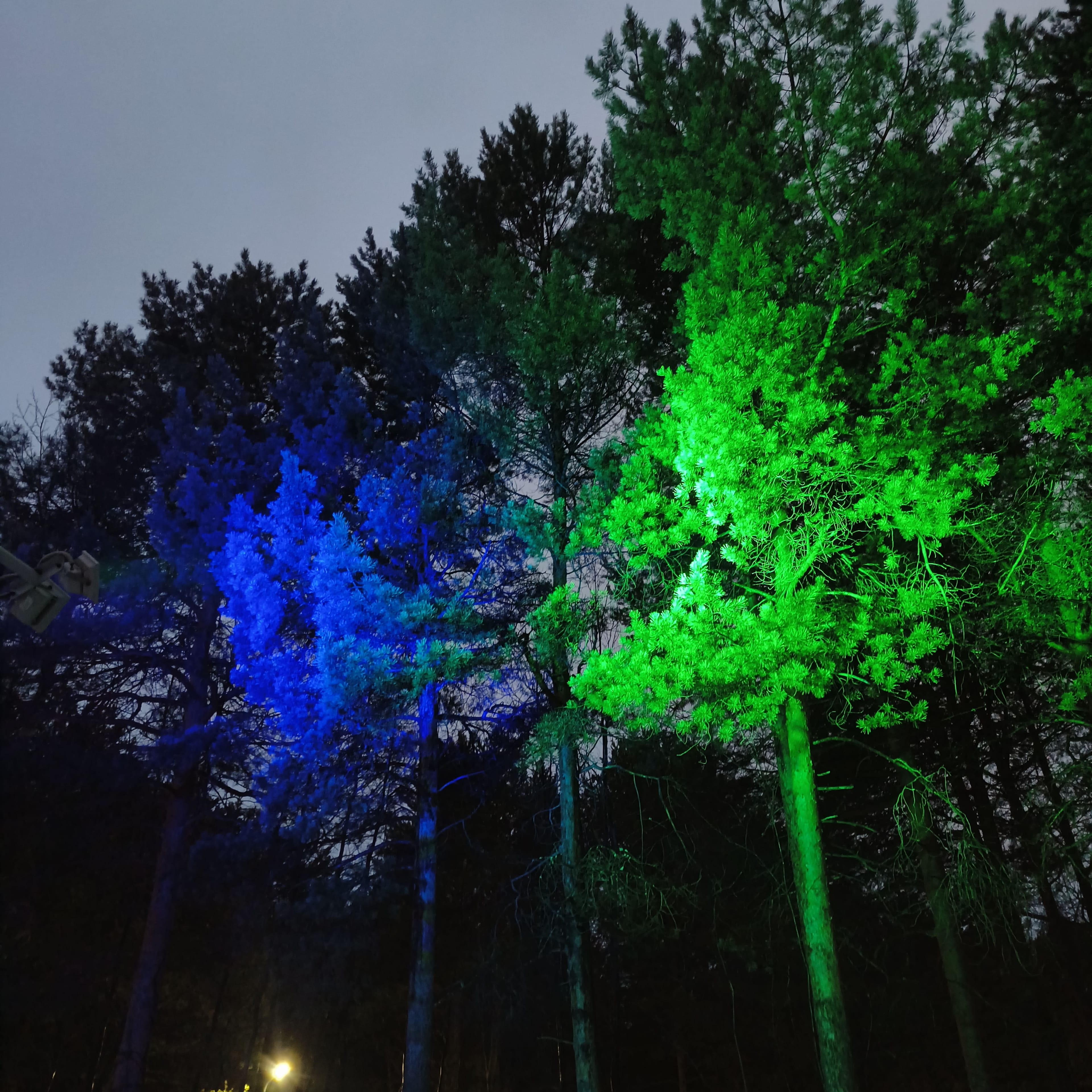 Photo from Surgut: spring 13.