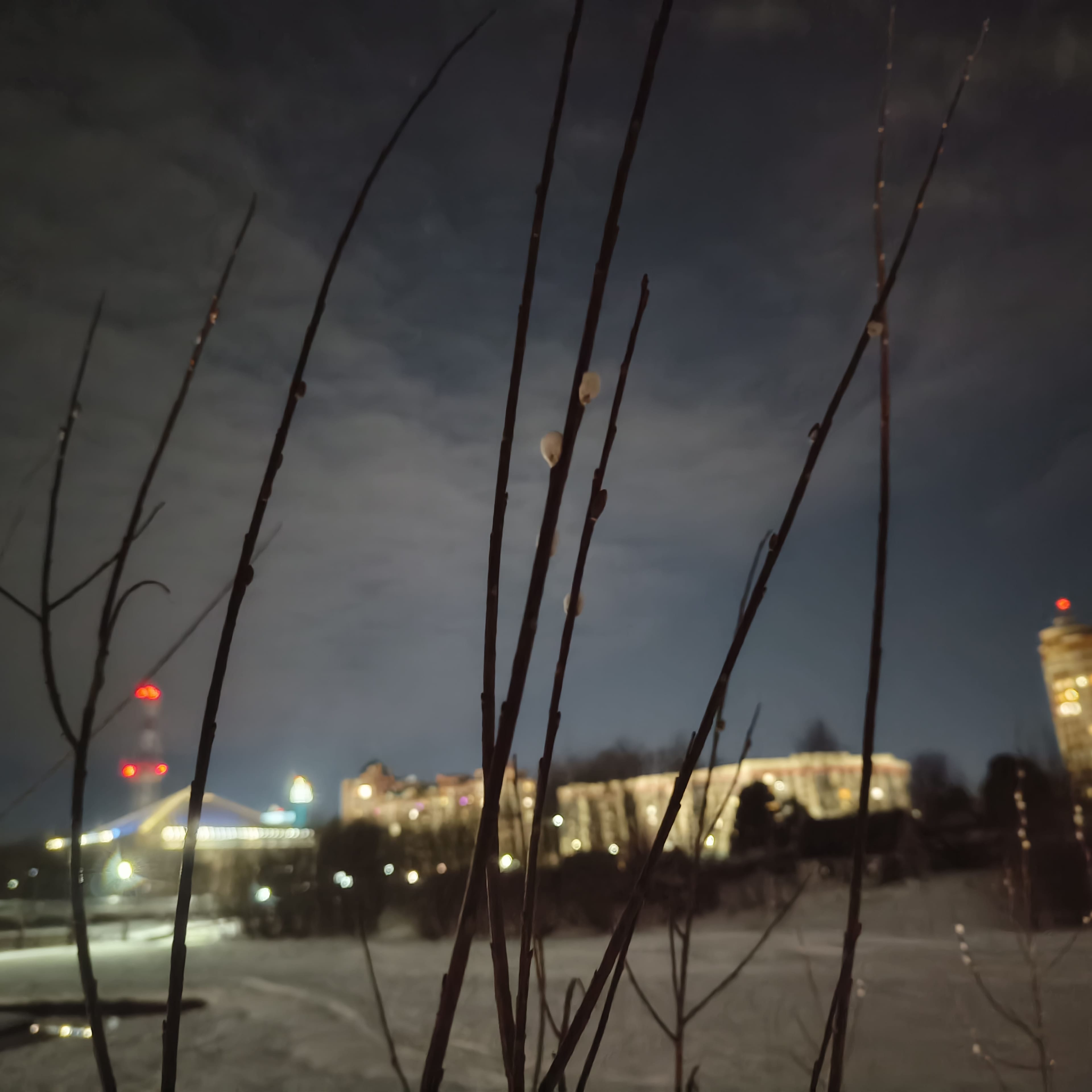 Photo from Surgut: spring 6.