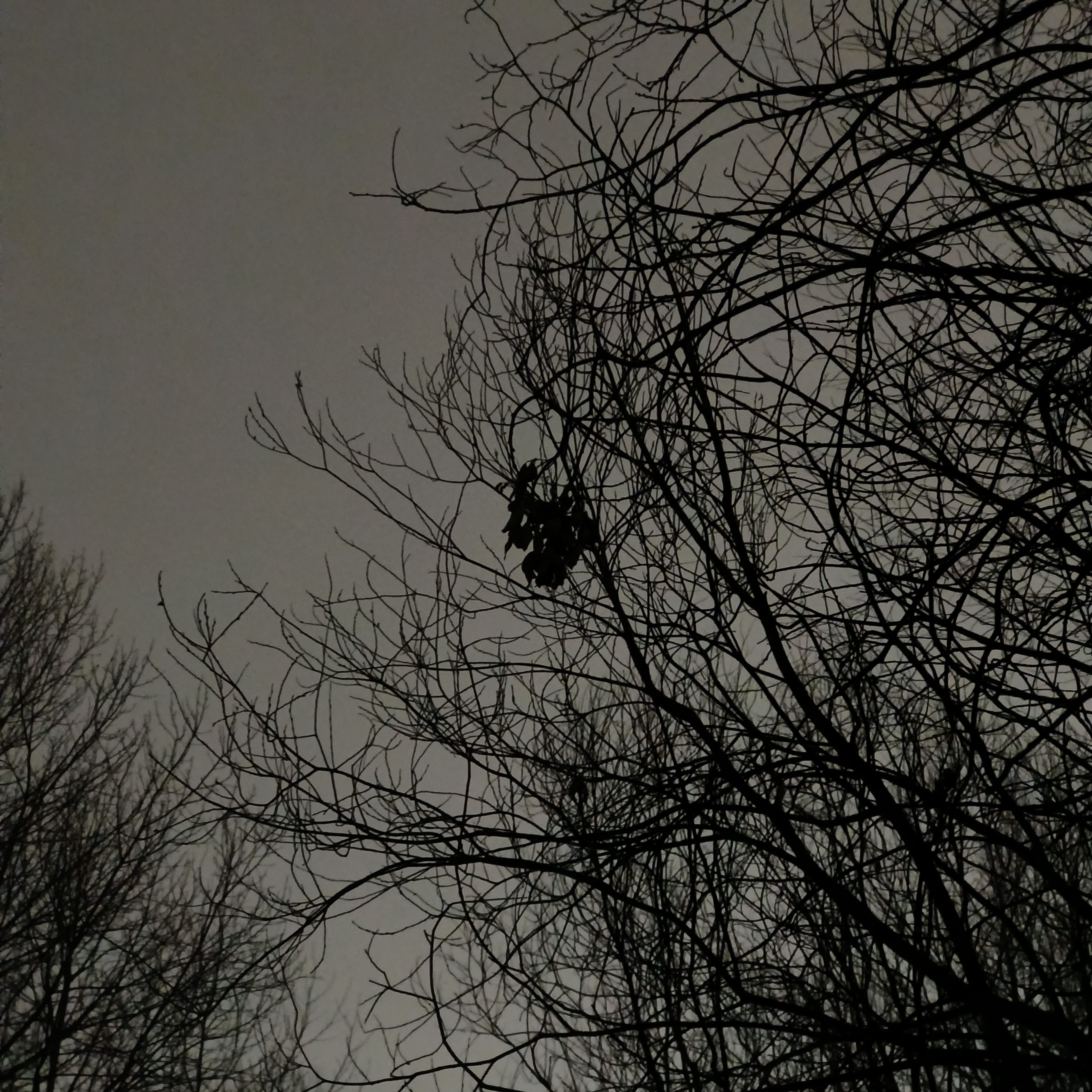 Photo from Surgut: spring 7.