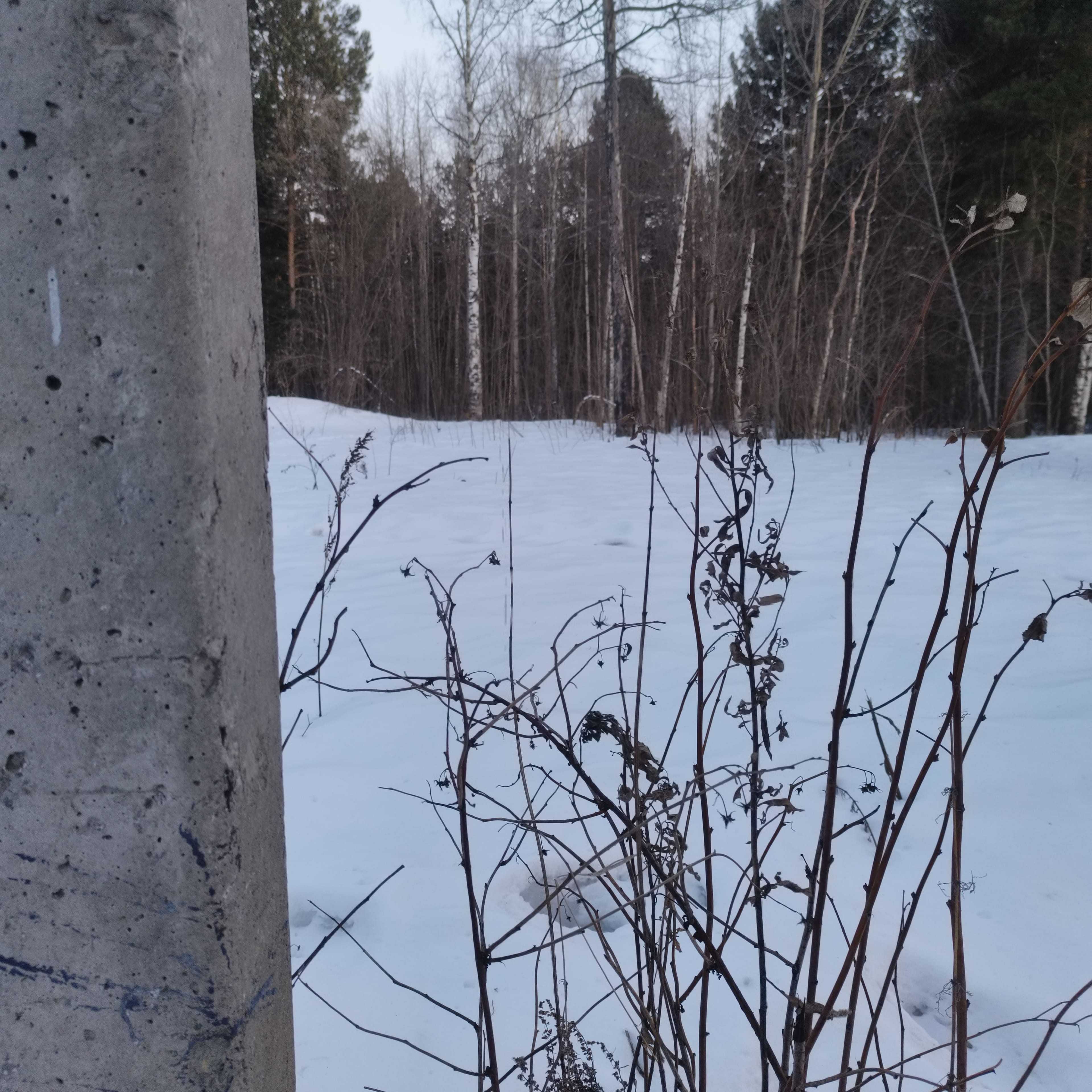 Photo from Surgut: spring 8.