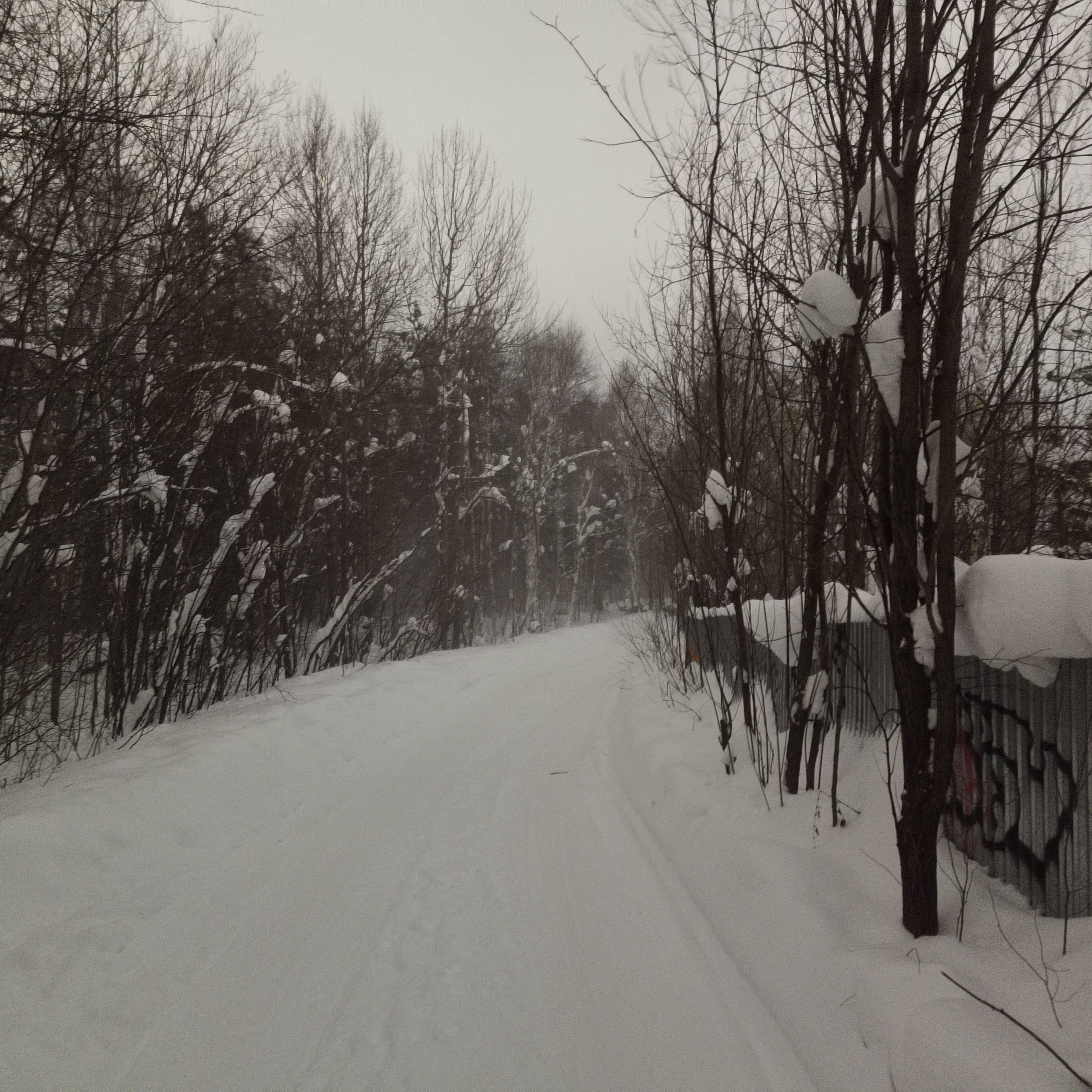 Photo from Surgut: windy 2.