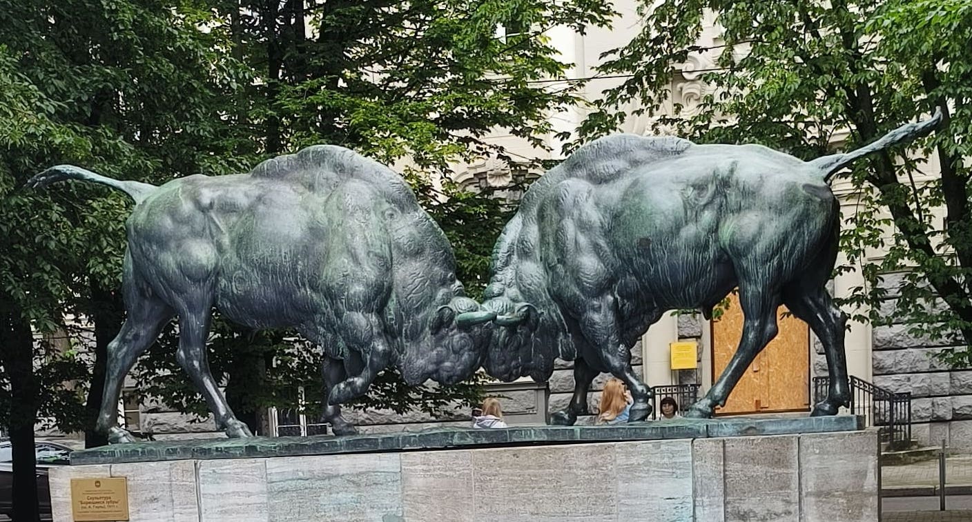 bulls.jpg