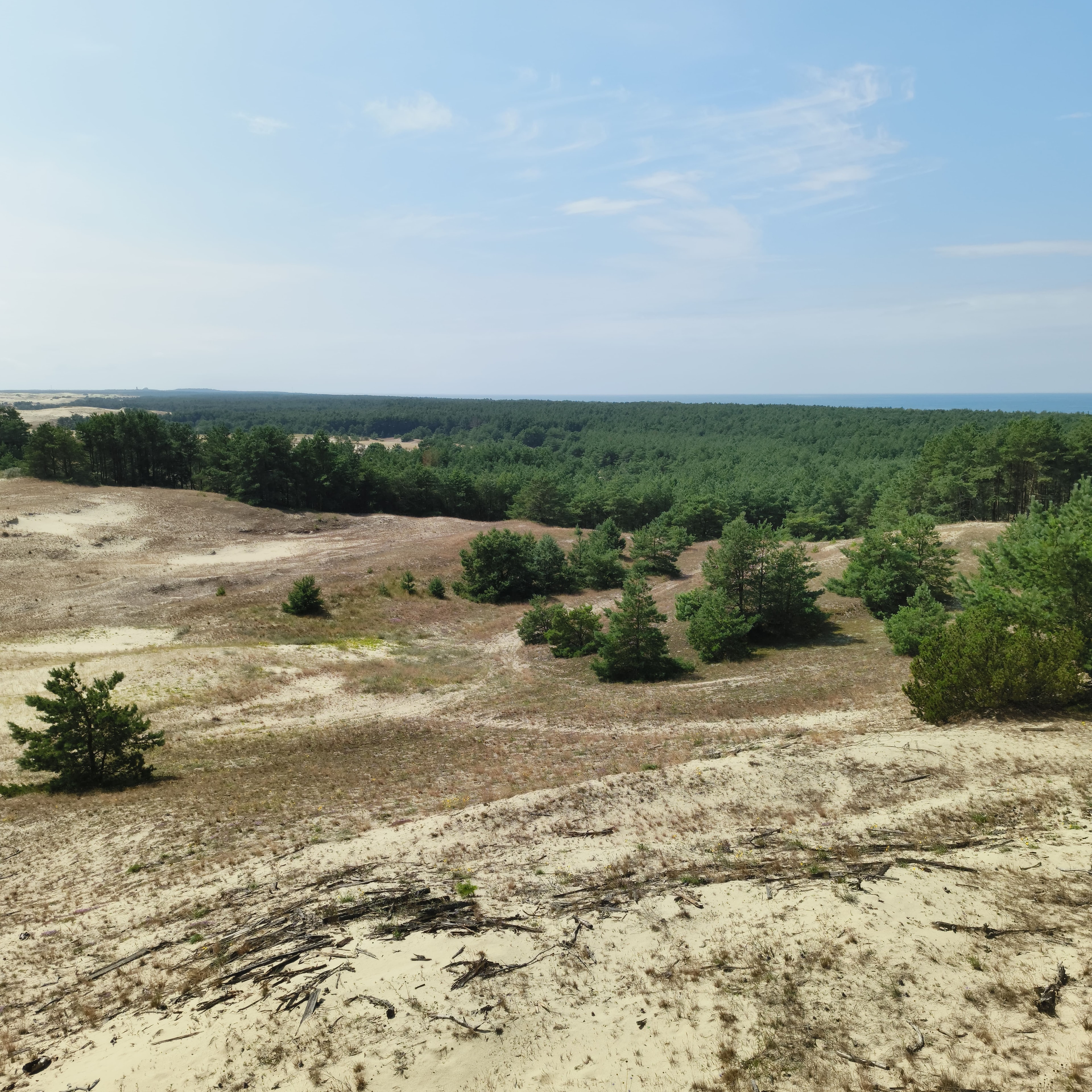 dune-2.jpg