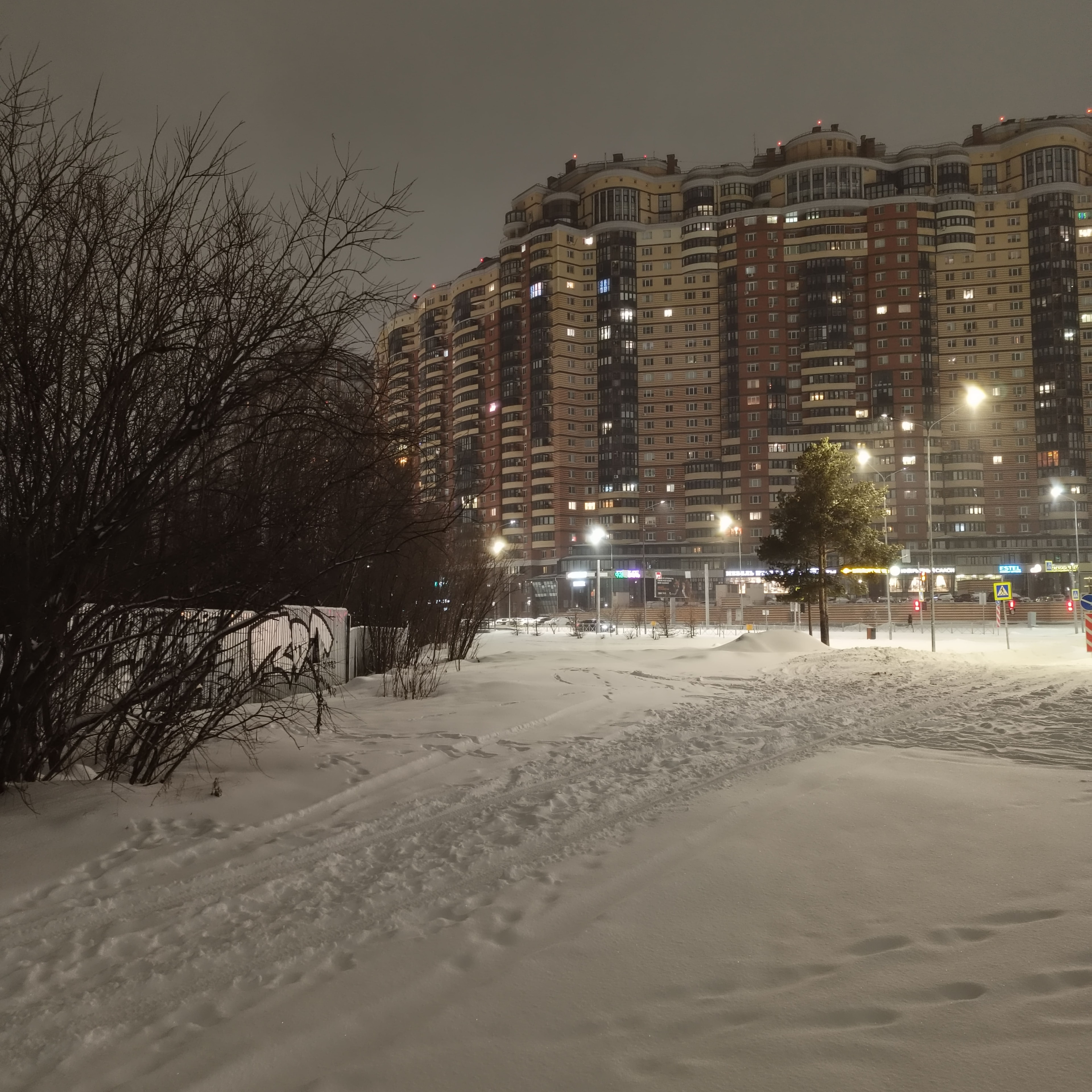 snowy-park-12.jpg
