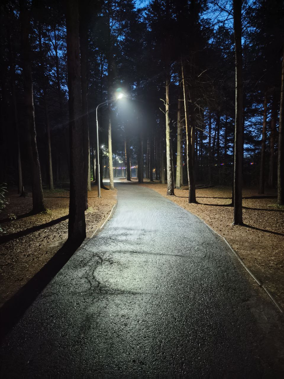 park-2.jpg
