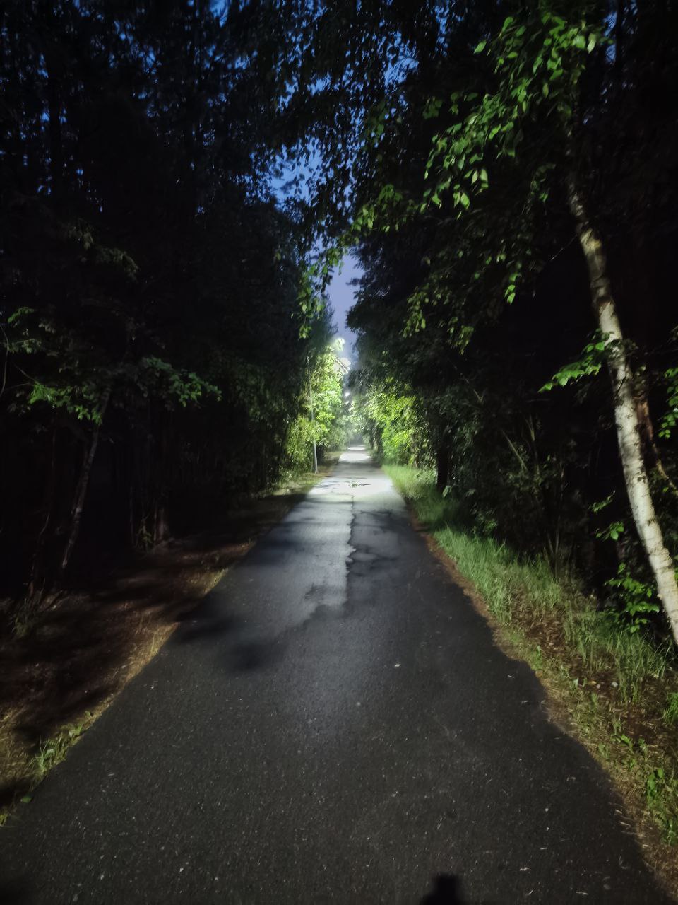 park-4.jpg