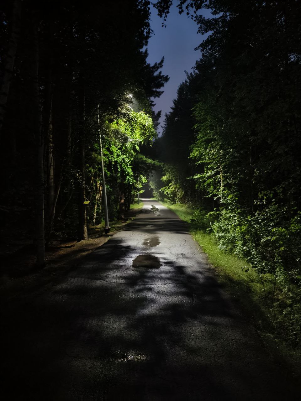 park-5.jpg